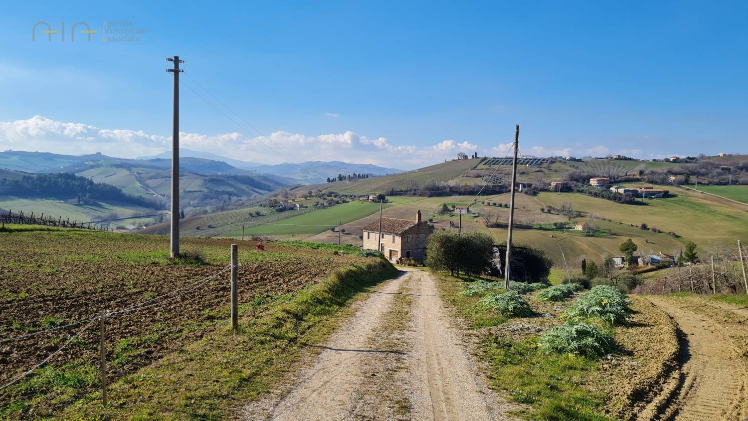 immagine annuncio 1 di 10