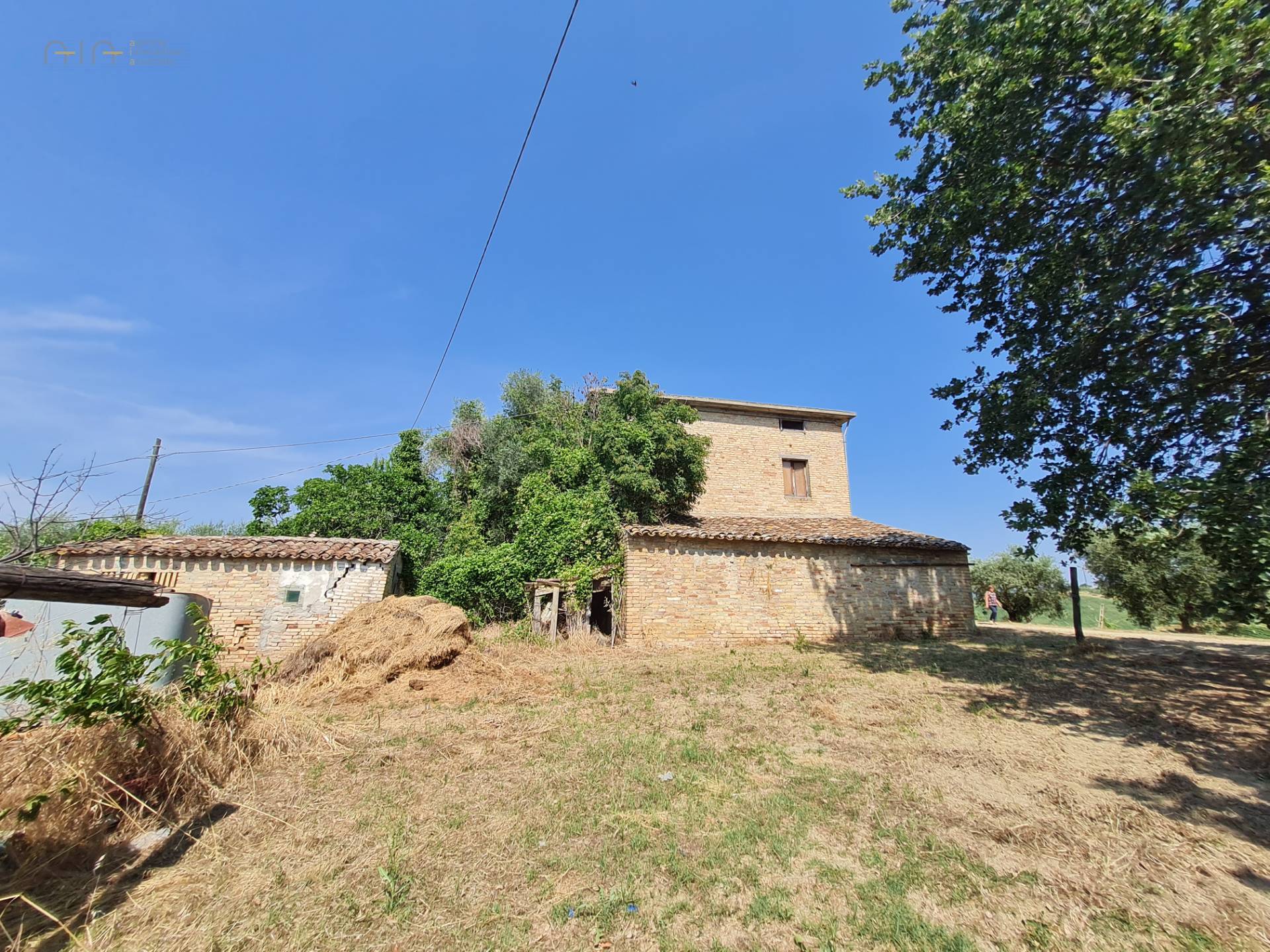 Casale Colonico Rustico in vendita a Castorano, Collinare