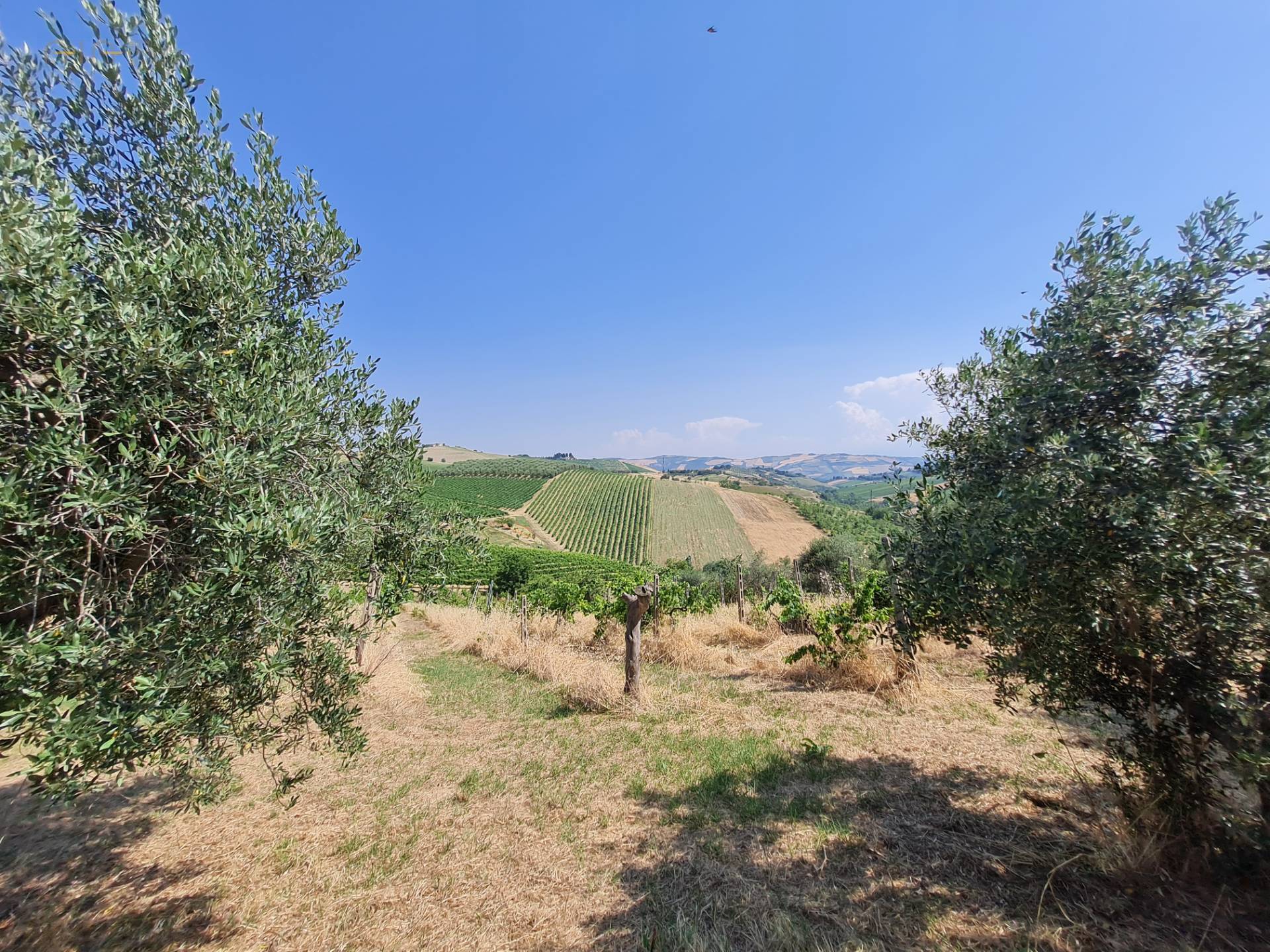 Casale Colonico Rustico in vendita a Castorano, Collinare