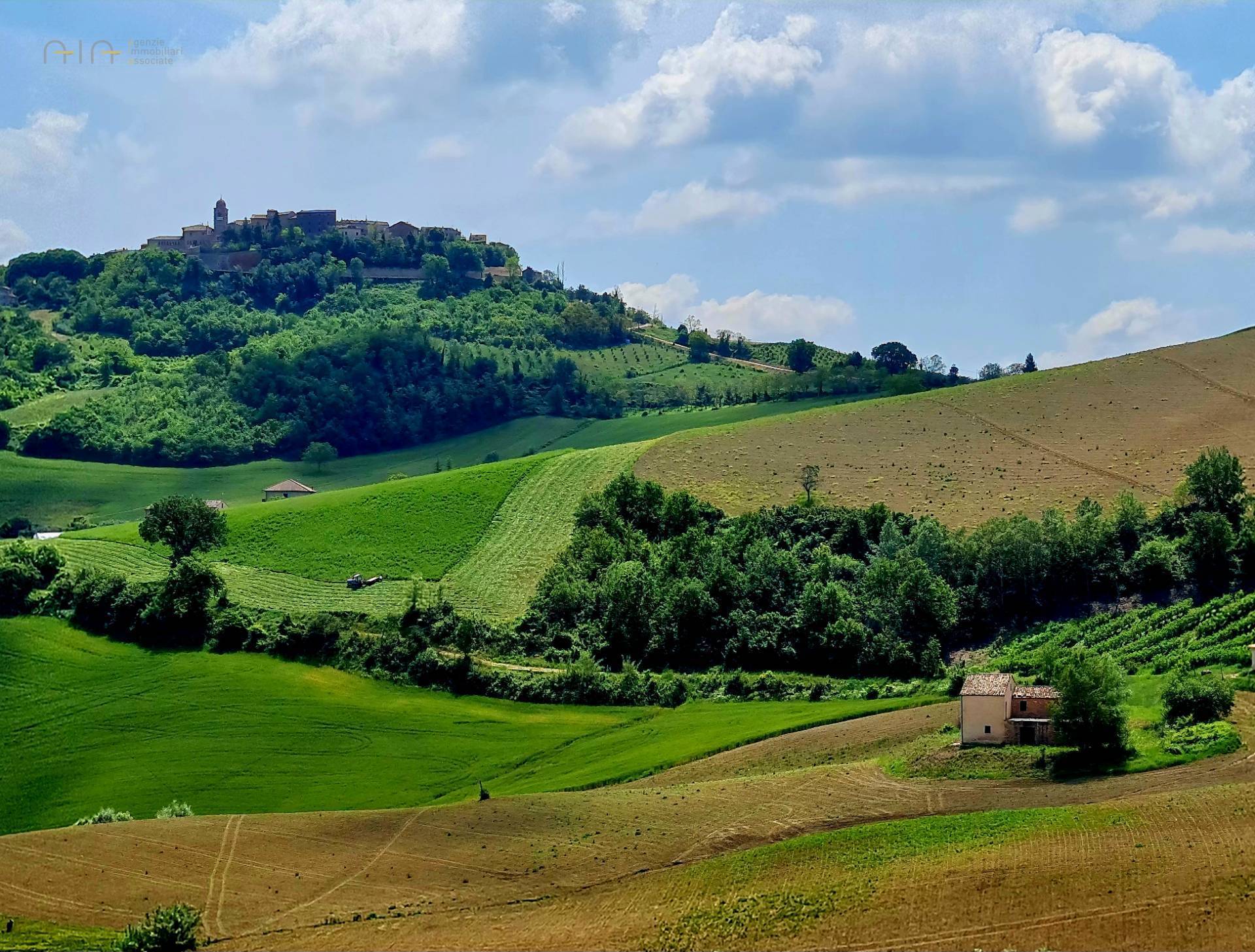 Casale Colonico Rustico in vendita a Montedinove, Collinare