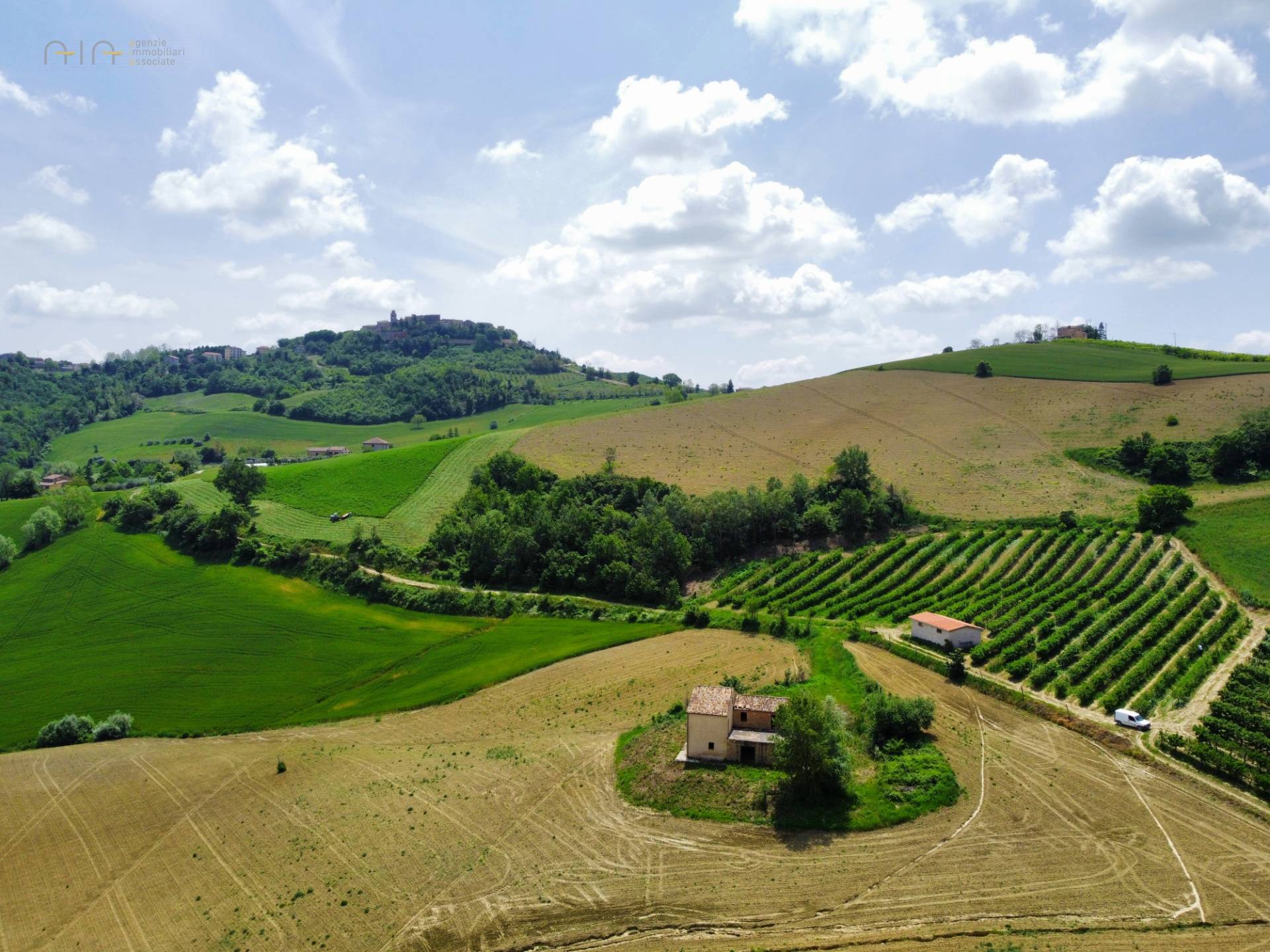 Casale Colonico Rustico in vendita a Montedinove, Collinare