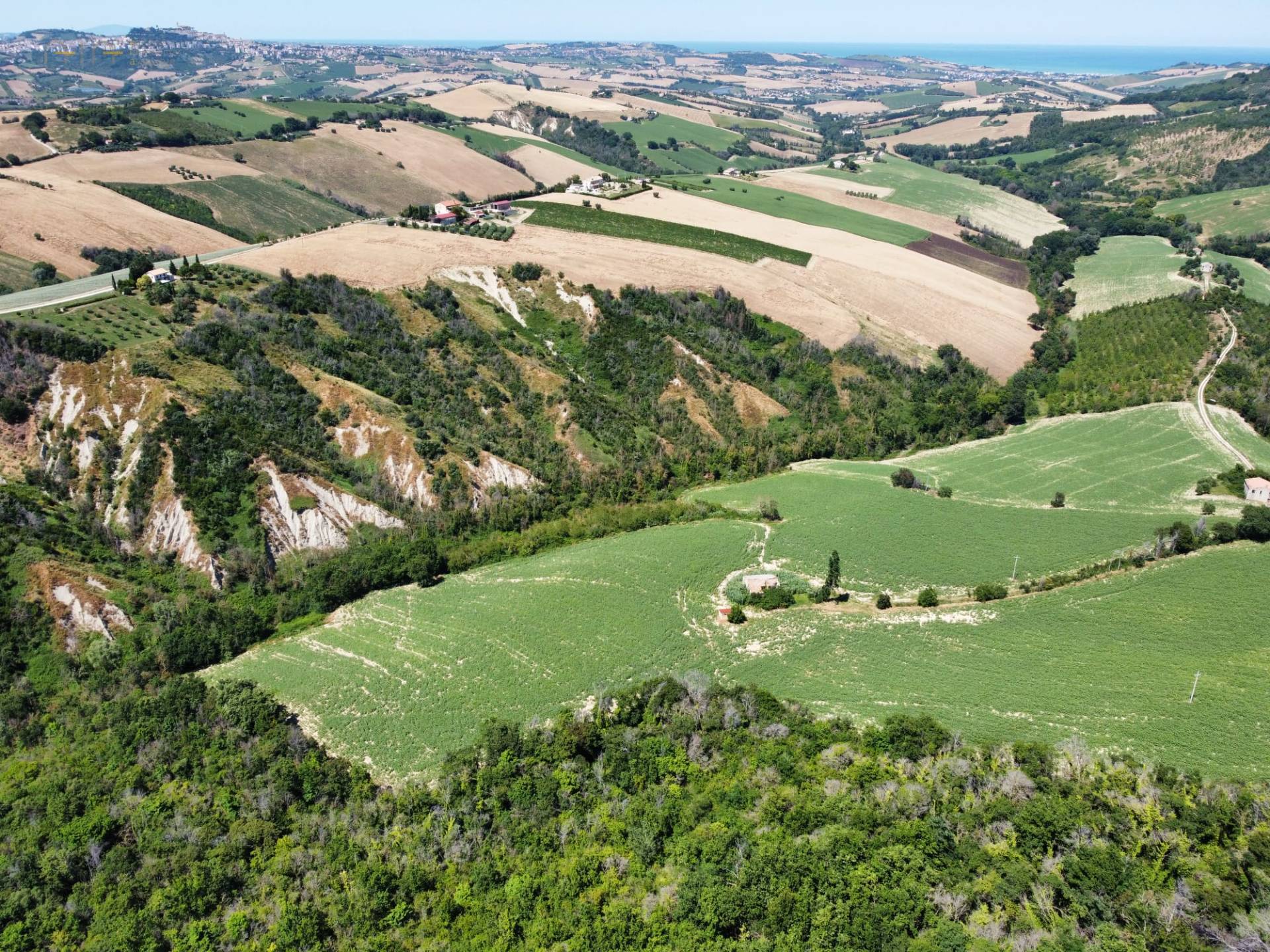 Casale Colonico Rustico in vendita a Monterubbiano, Collinare