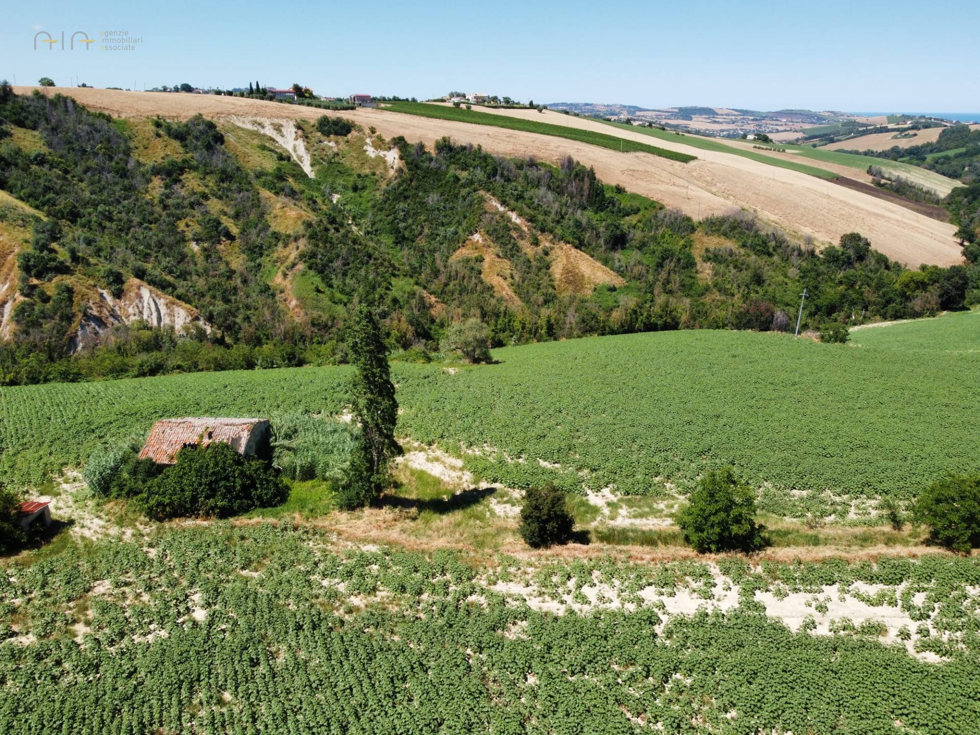 Casale Colonico Rustico in vendita a Monterubbiano, Collinare