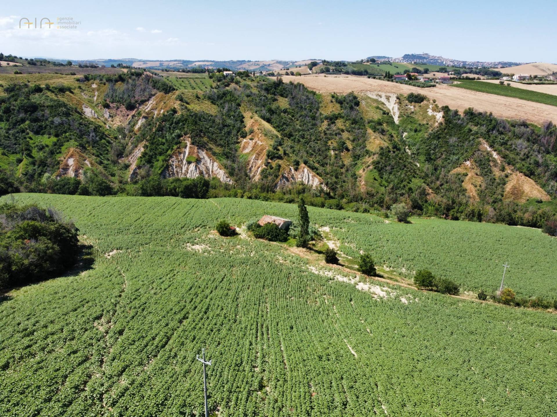 Casale Colonico Rustico in vendita a Monterubbiano, Collinare
