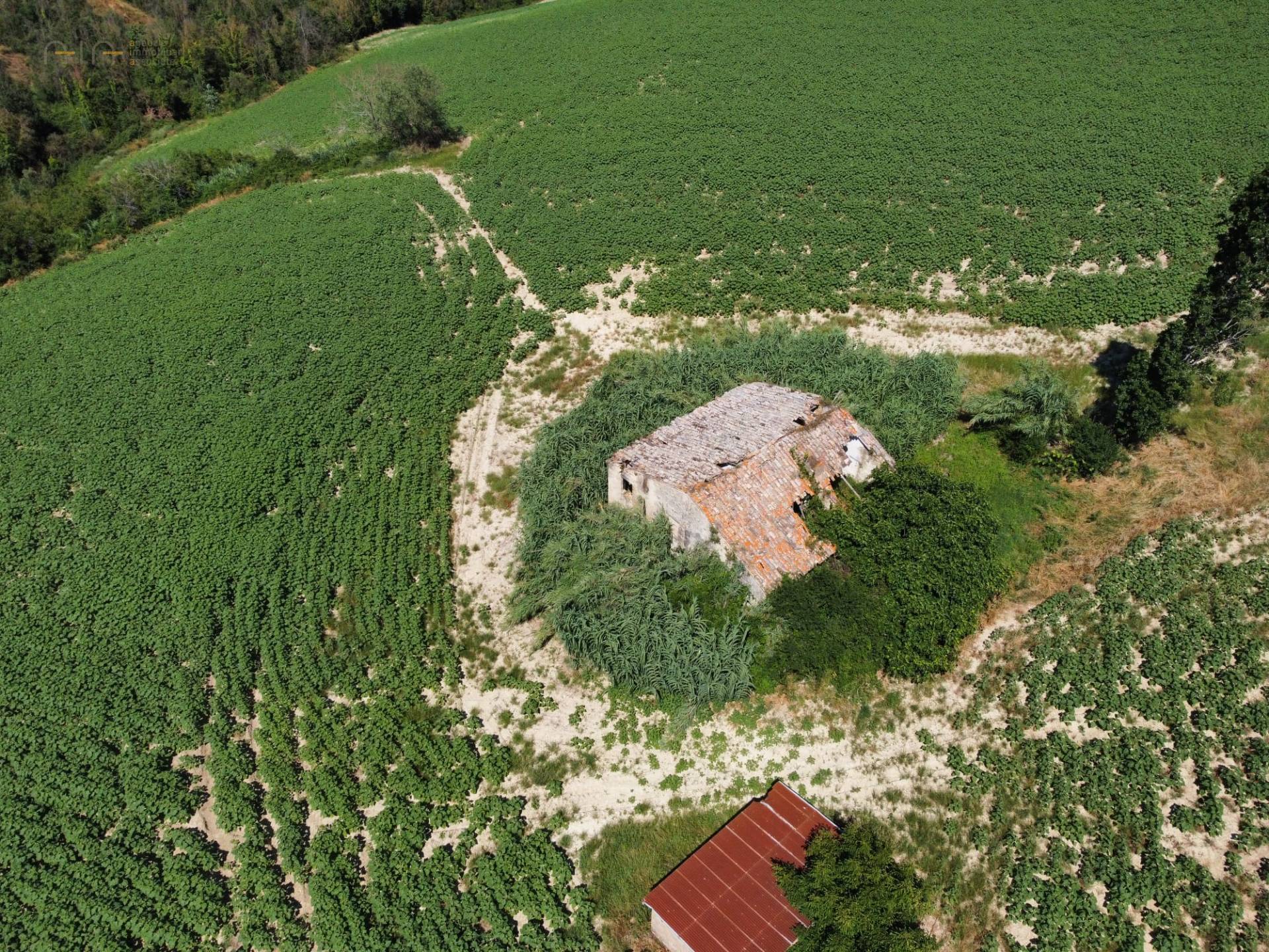 Casale Colonico Rustico in vendita a Monterubbiano, Collinare