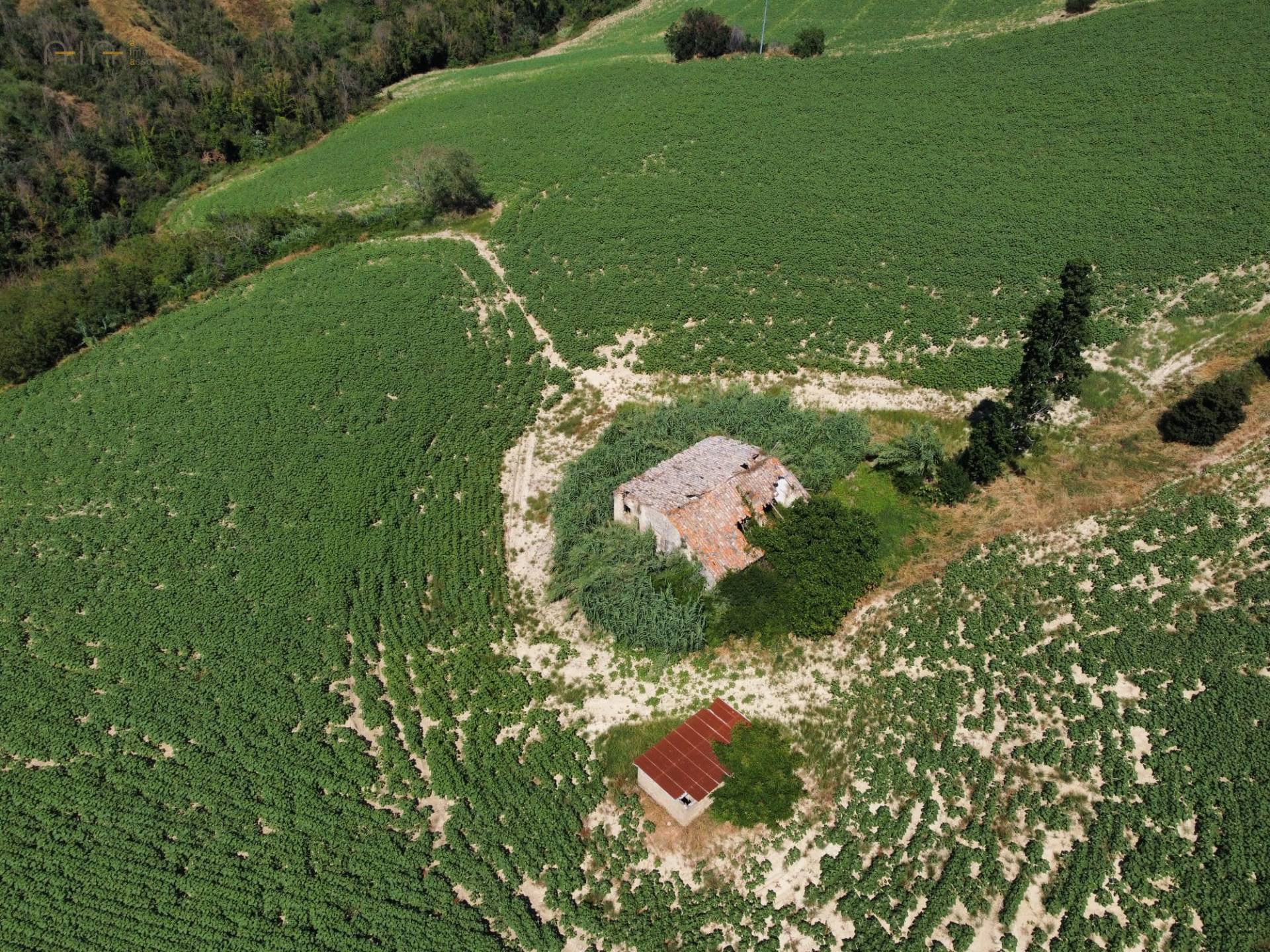 Casale Colonico Rustico in vendita a Monterubbiano, Collinare