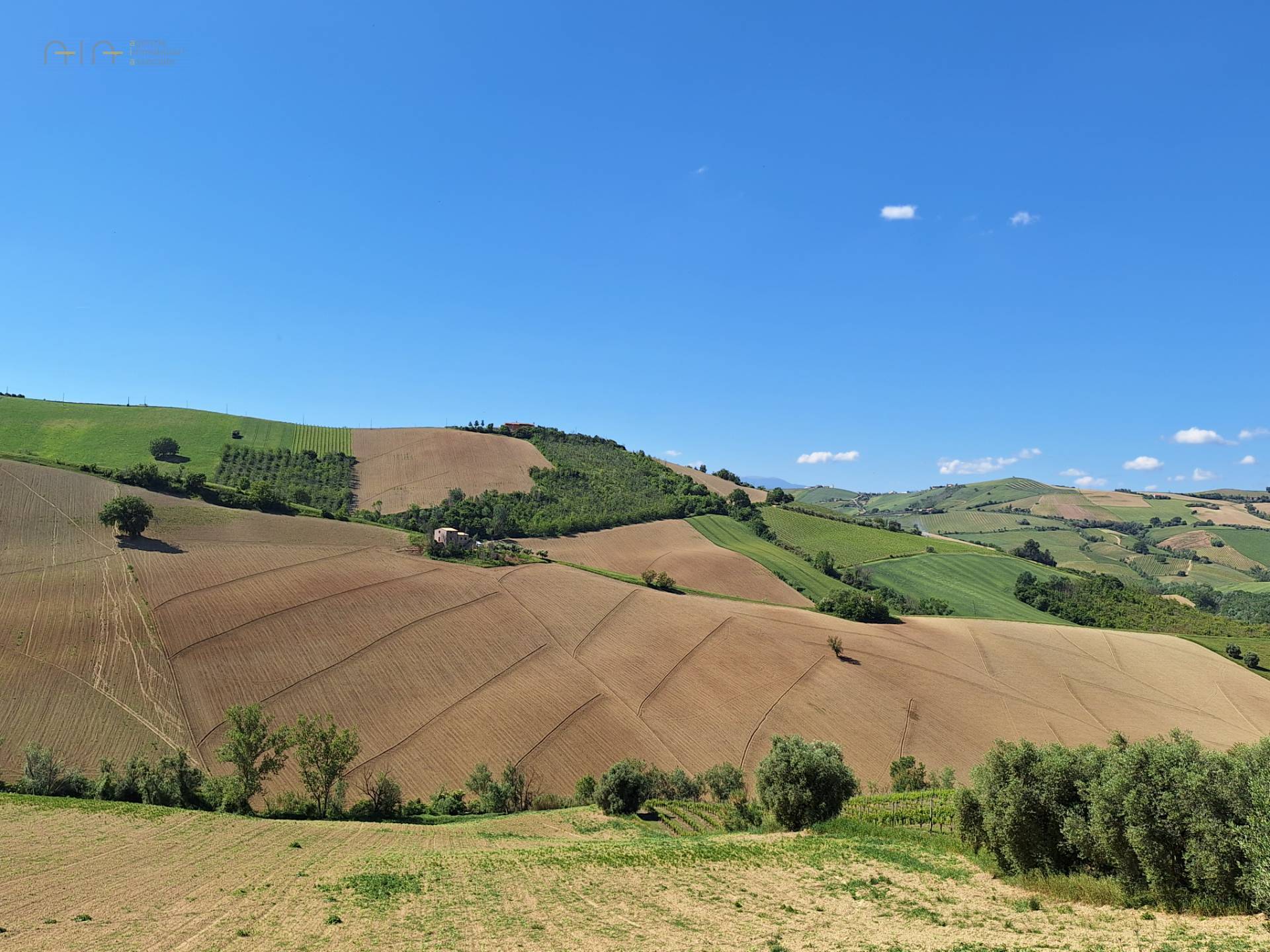 Terreno Agricolo in vendita a Ripatransone, Collinare