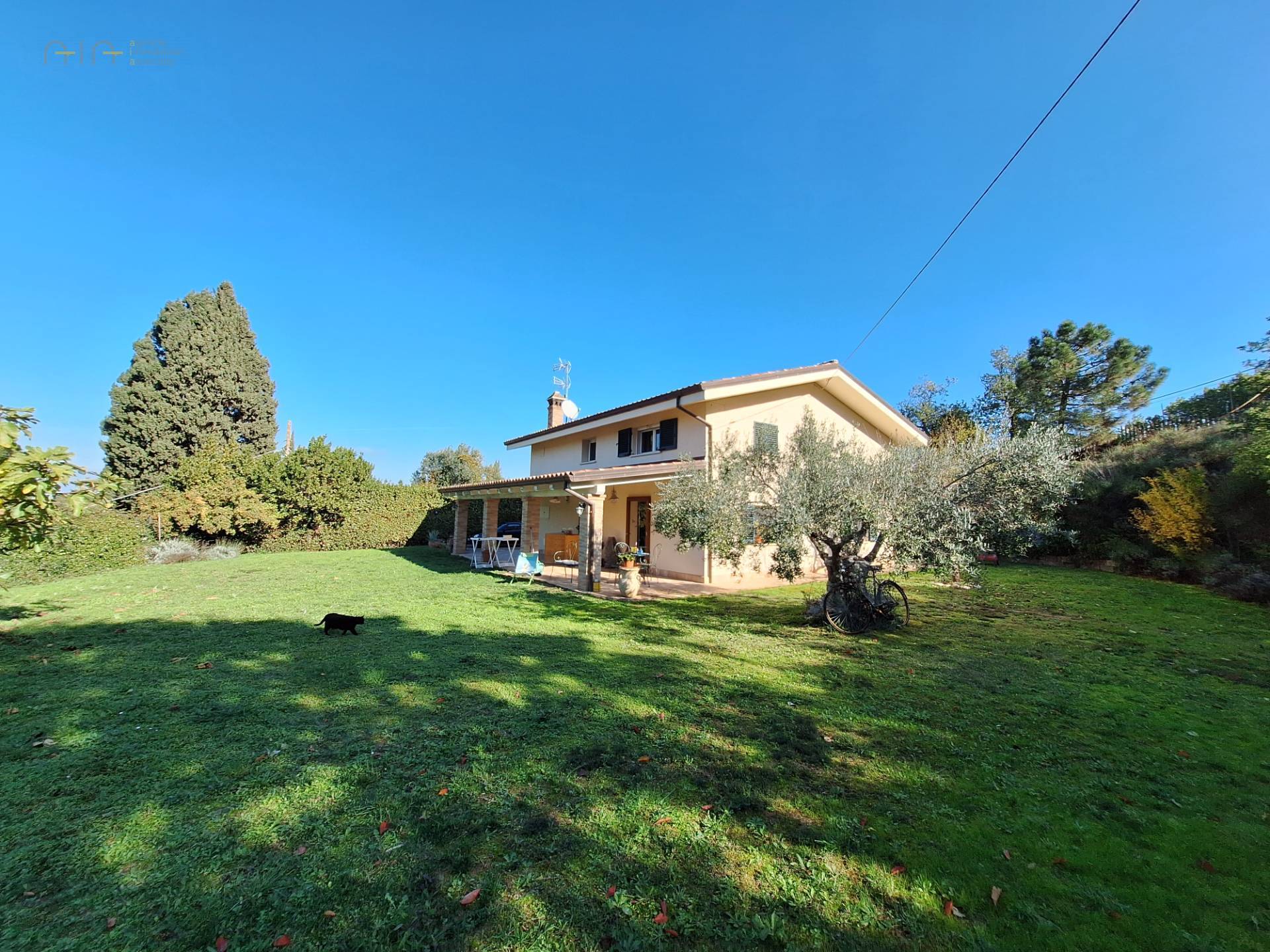 Casale Colonico Rustico in vendita a Ripatransone, Collinare