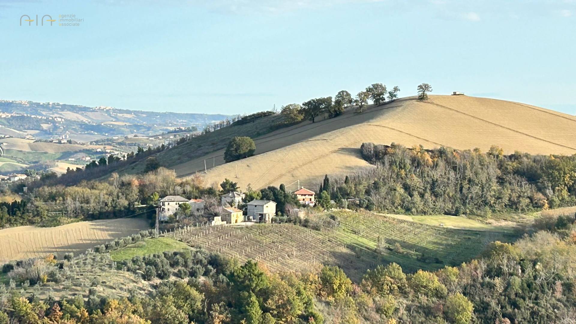 Casale Colonico Rustico in vendita a Castignano, Collinare