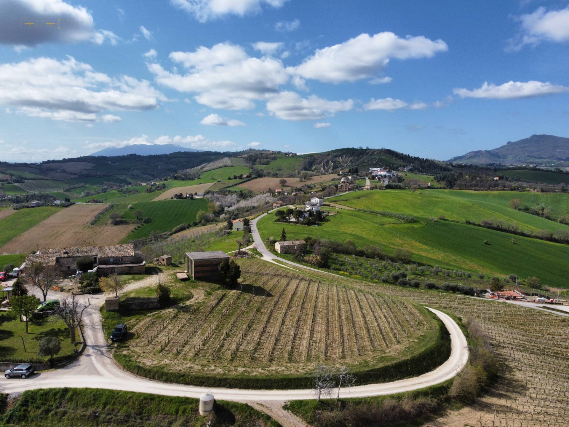 Casale Colonico Rustico in vendita a Castignano, Collinare