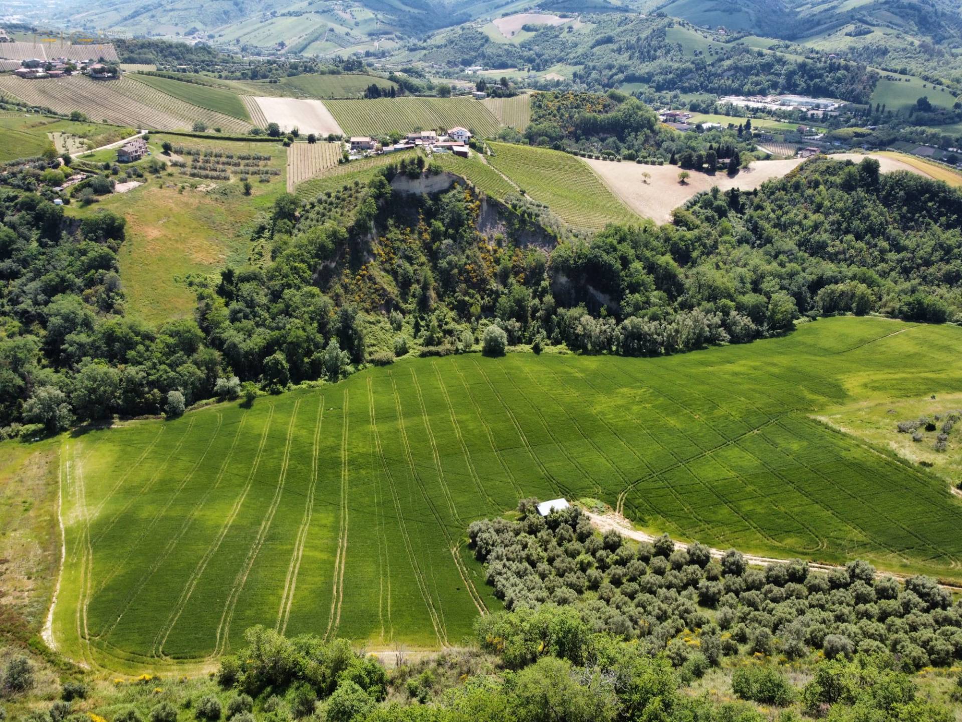 Terreno Agricolo in vendita a Ripatransone, Val Tesino