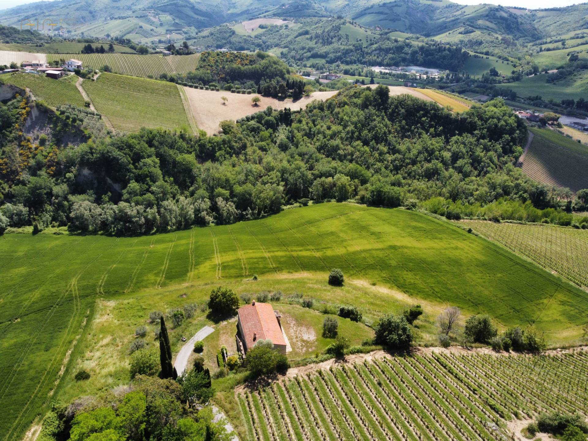 Terreno Agricolo in vendita a Ripatransone, Val Tesino