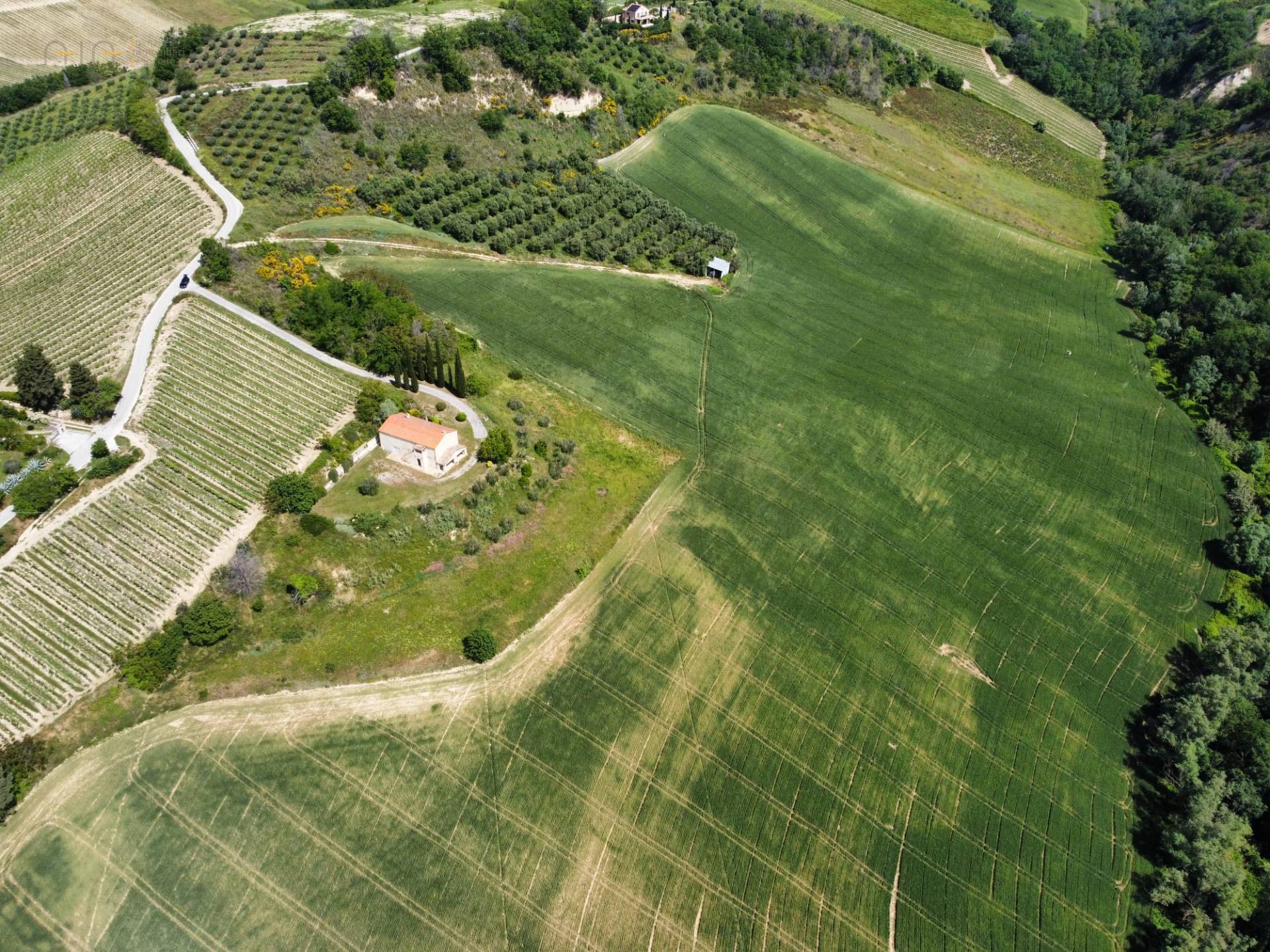 Terreno Agricolo in vendita a Ripatransone, Val Tesino