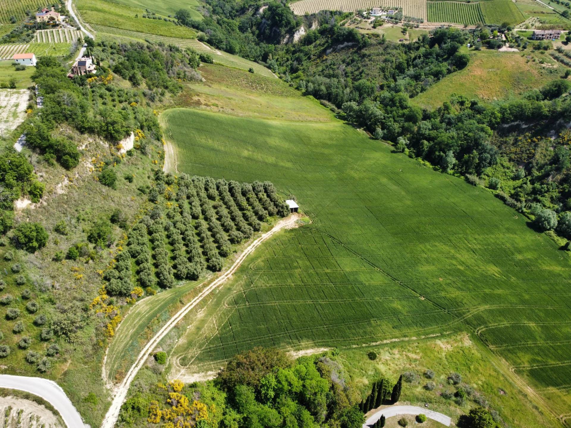 Terreno Agricolo in vendita a Ripatransone, Val Tesino