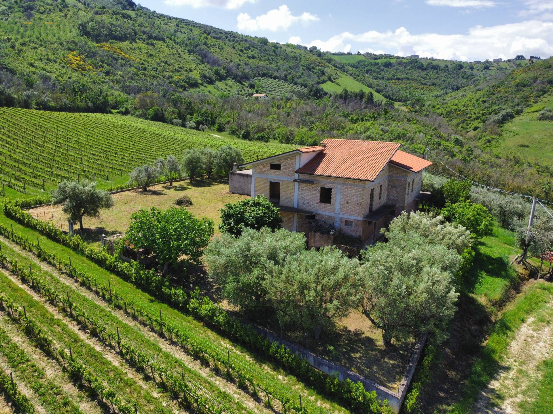 Casale Colonico Rustico in vendita a Controguerra, Collinare