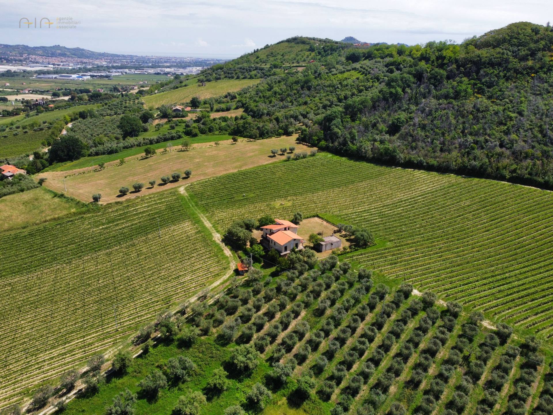 Casale Colonico Rustico in vendita a Controguerra, Collinare