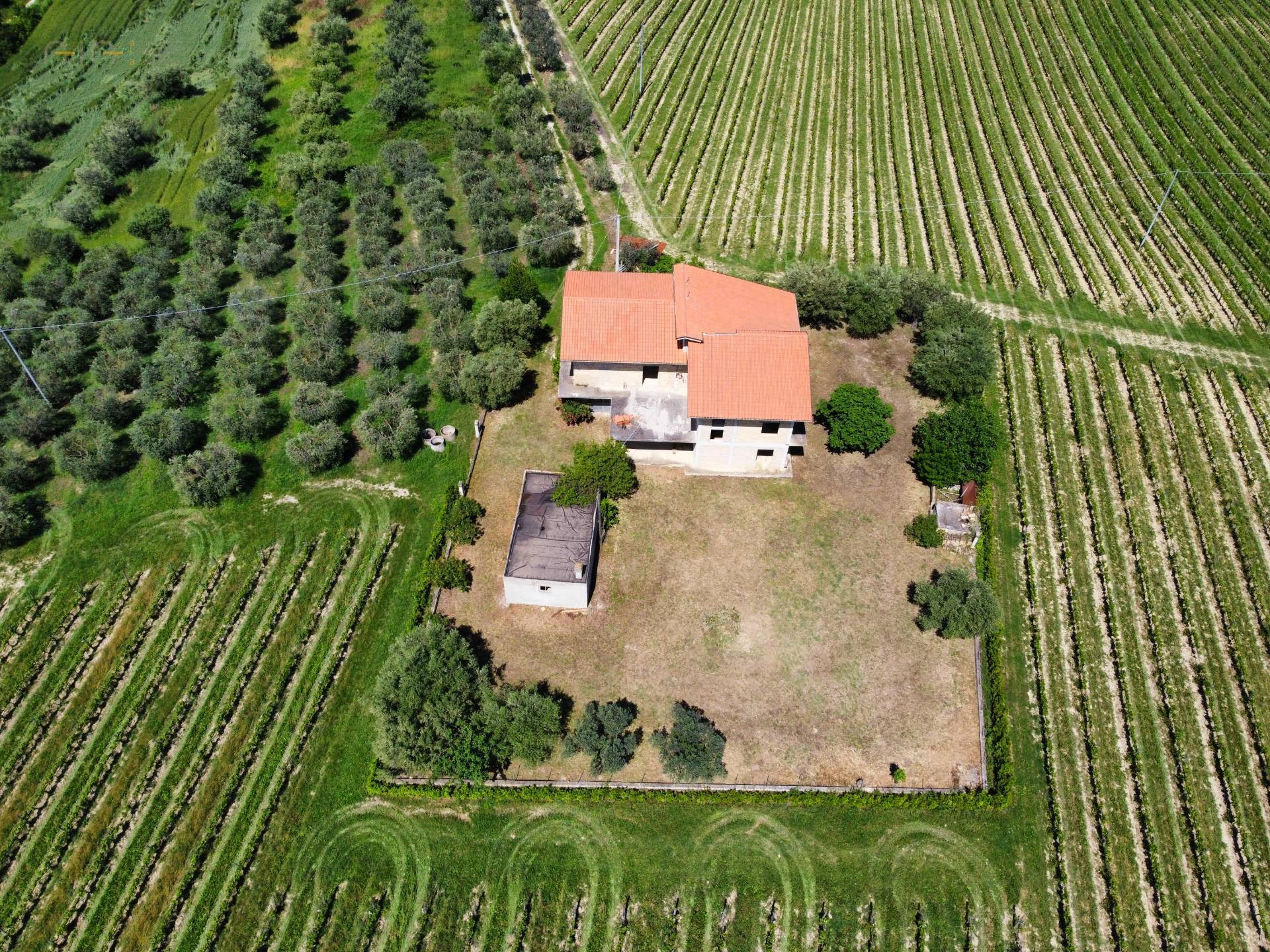 Casale Colonico Rustico in vendita a Controguerra, Collinare
