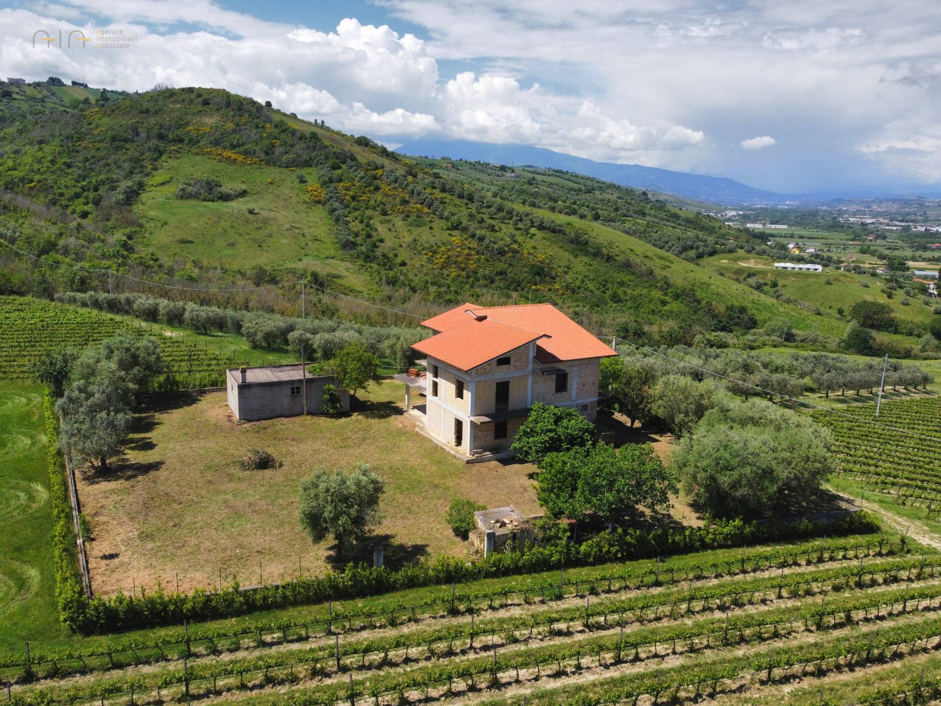 Casale Colonico Rustico in vendita a Controguerra, Collinare