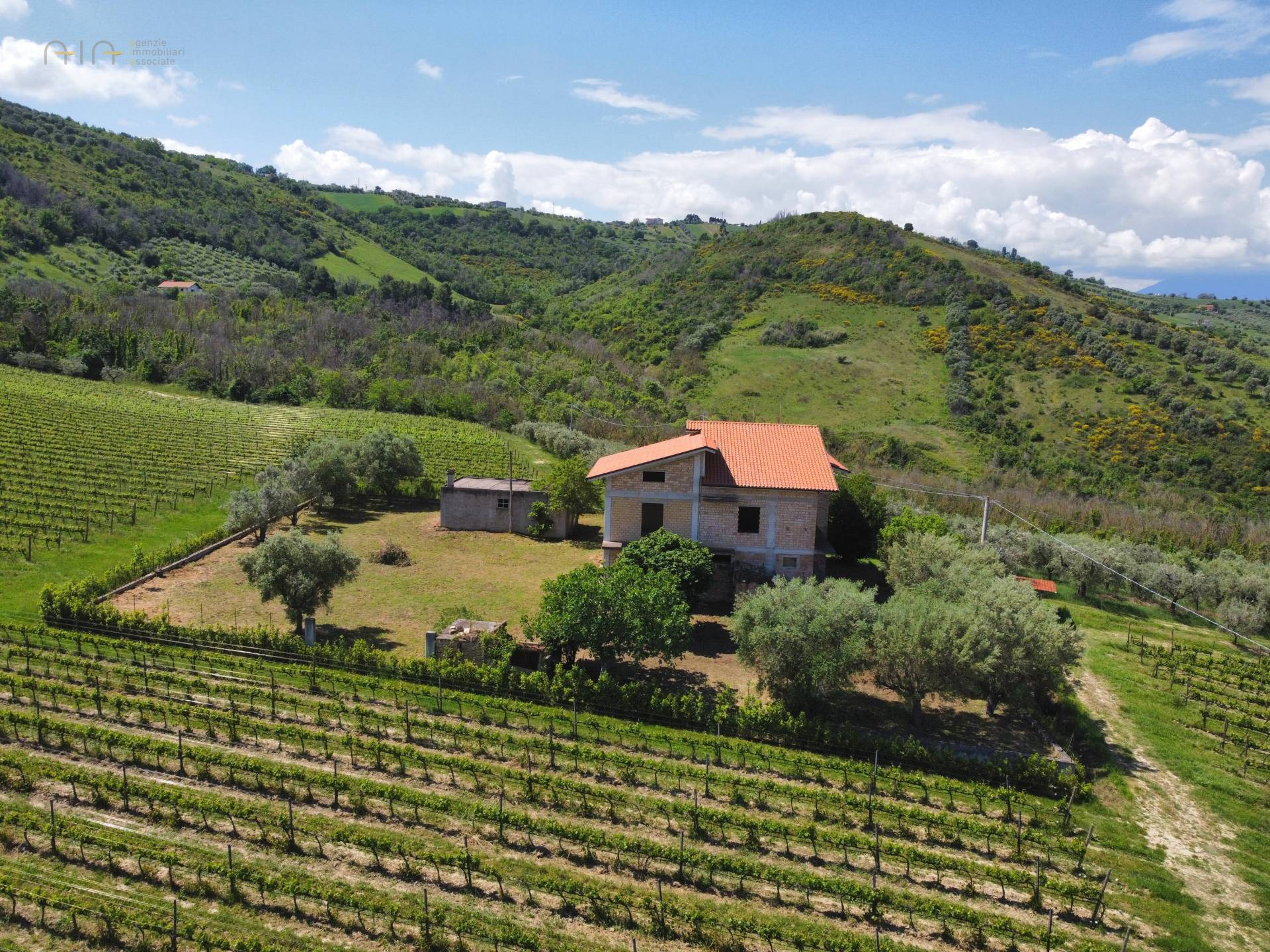 Casale Colonico Rustico in vendita a Controguerra, Collinare