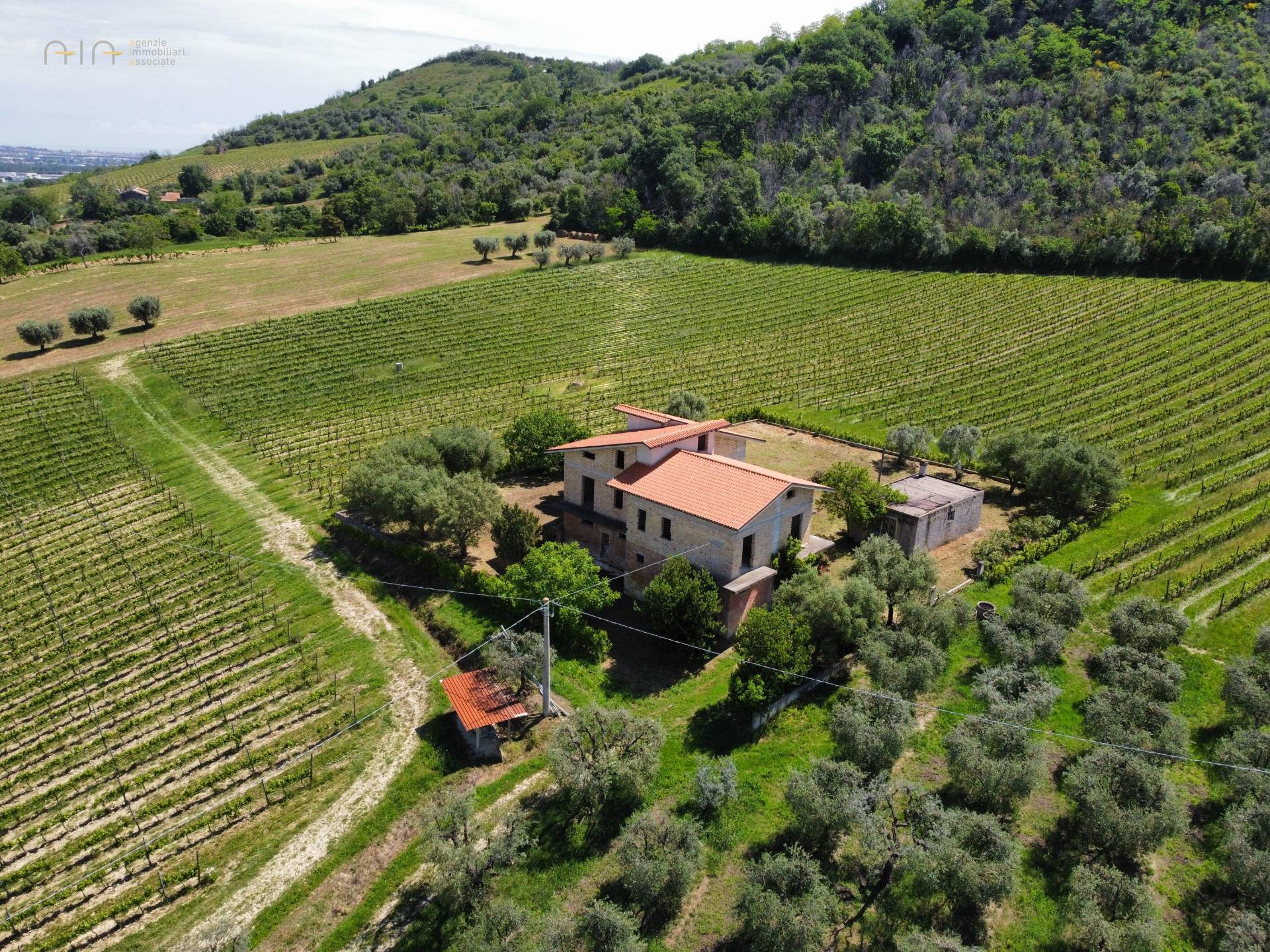 Casale Colonico Rustico in vendita a Controguerra, Collinare