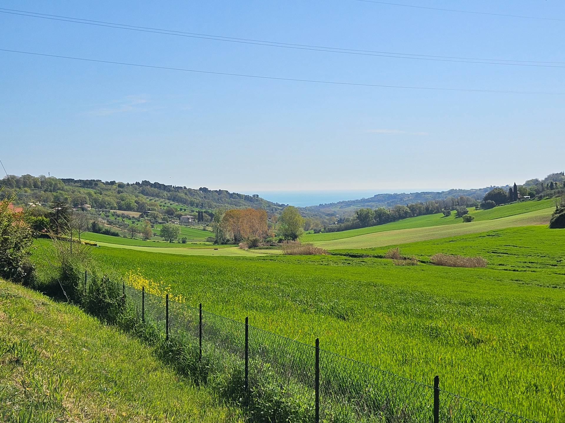 Casale Colonico Rustico in vendita a Montecosaro
