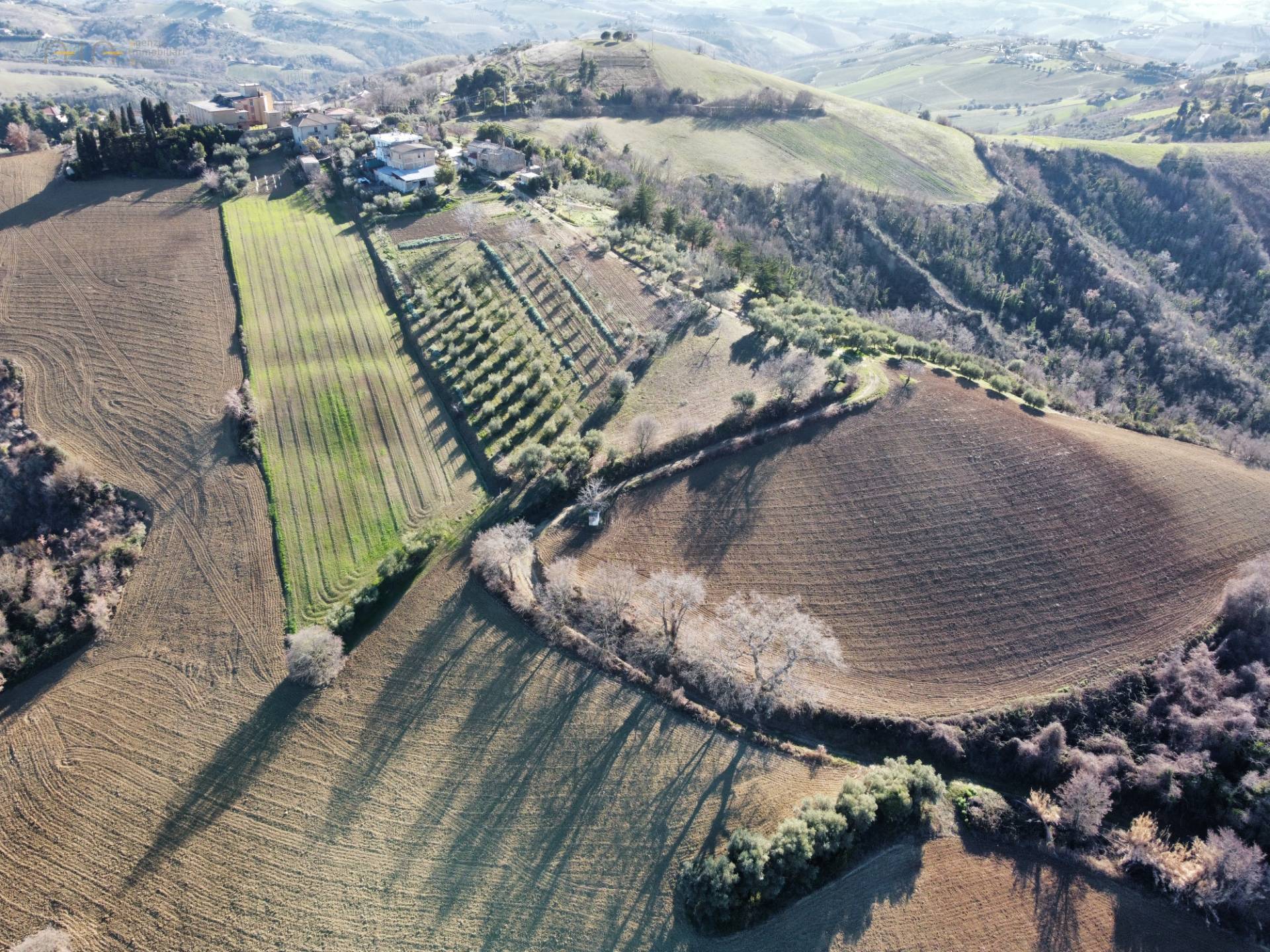 Terreno Agricolo (con / Senza Piccolo Prefabbricato) in vendita a Ripatransone, San Savino