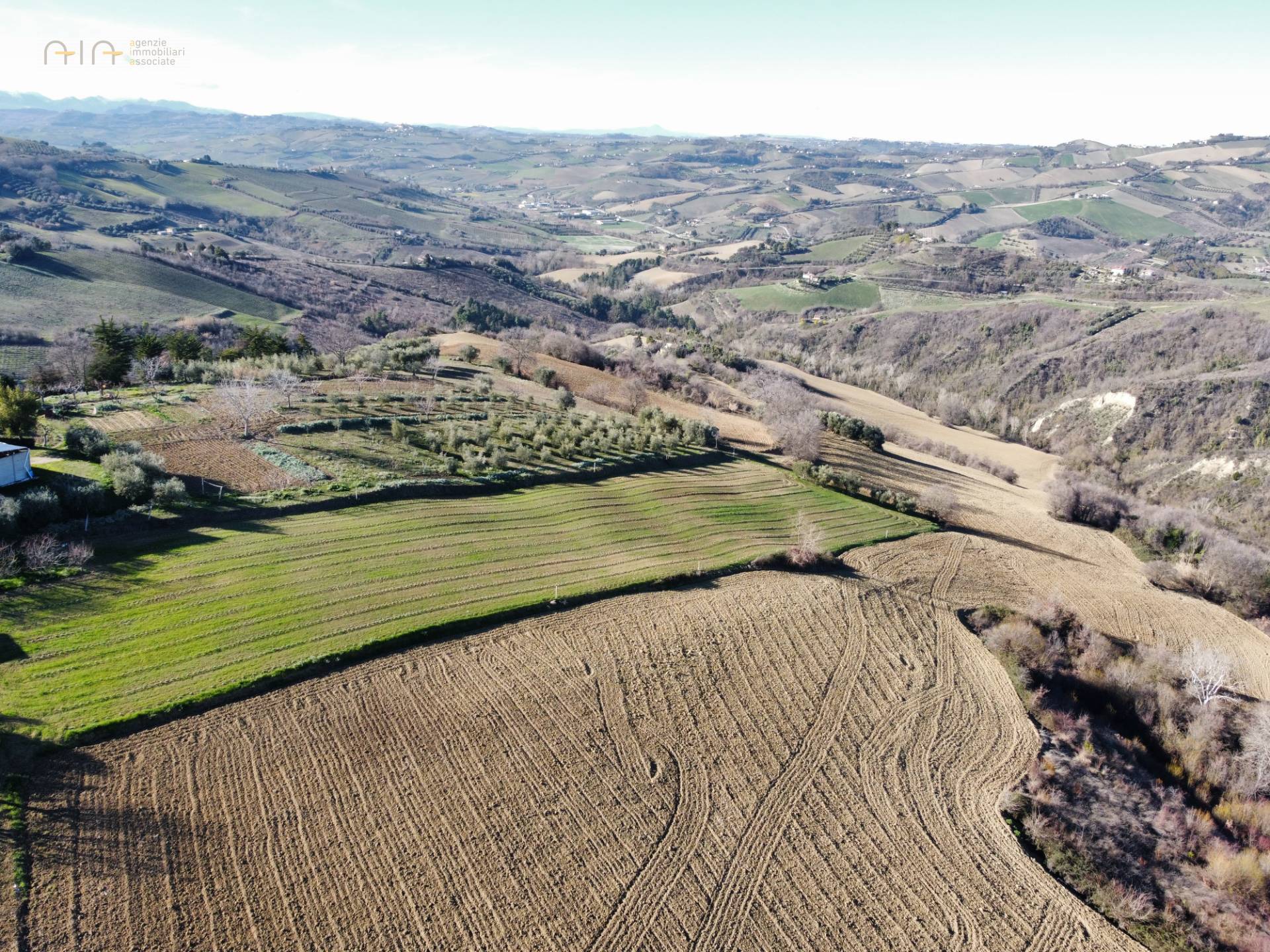 Terreno Agricolo (con / Senza Piccolo Prefabbricato) in vendita a Ripatransone, San Savino