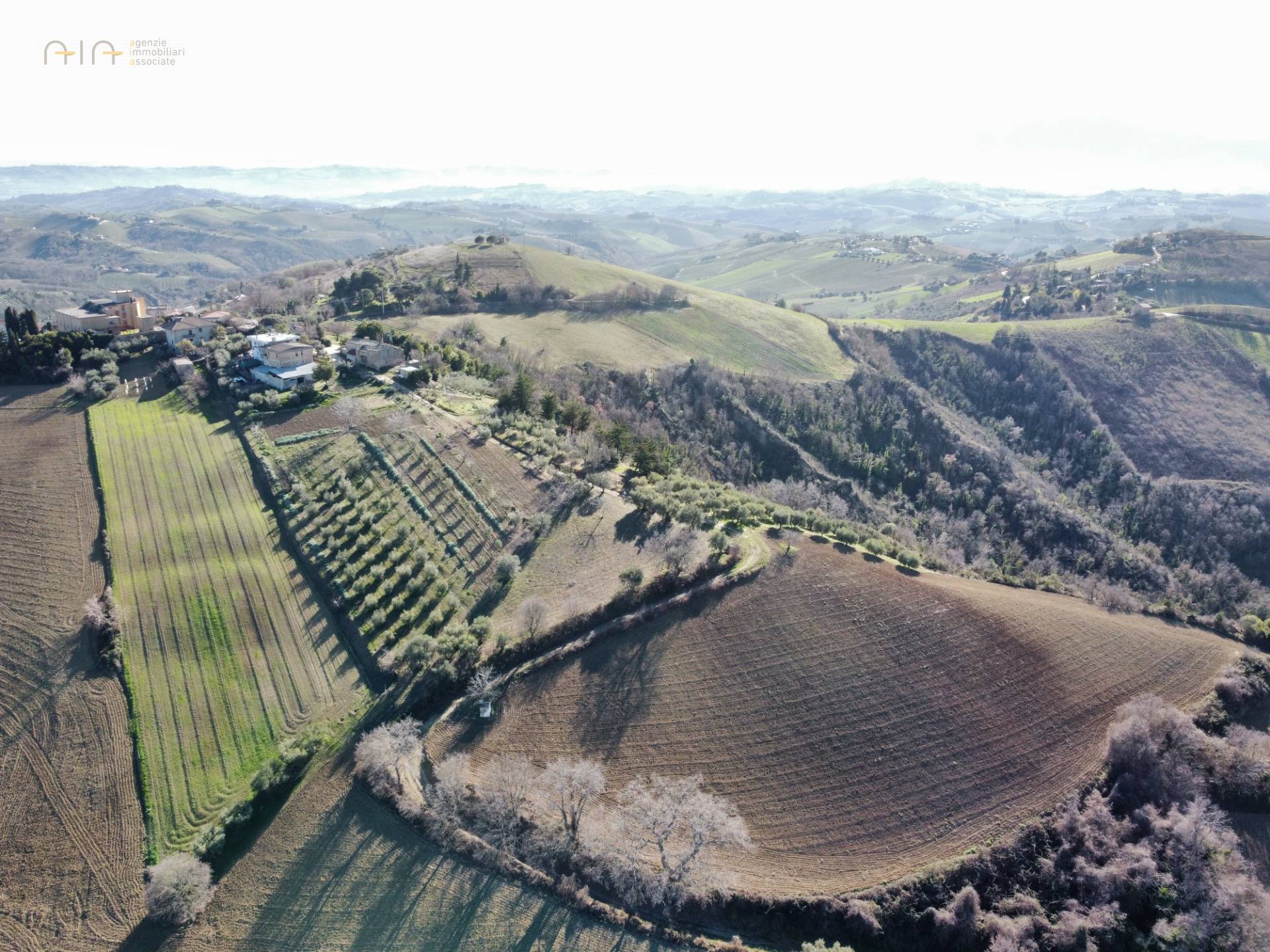 Terreno Agricolo (con / Senza Piccolo Prefabbricato) in vendita a Ripatransone, San Savino