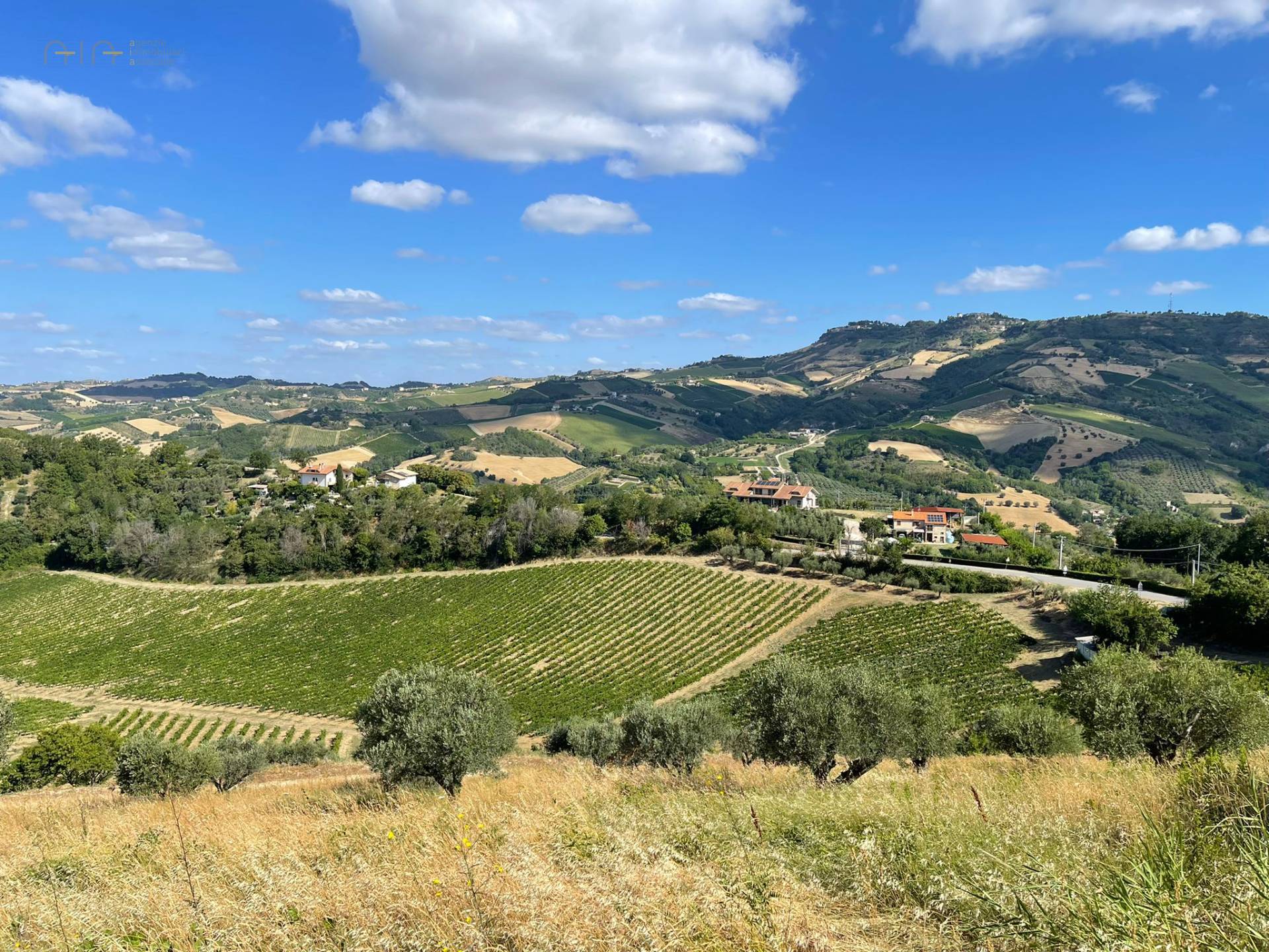 Terreno Agricolo in vendita a Ripatransone, San Savino