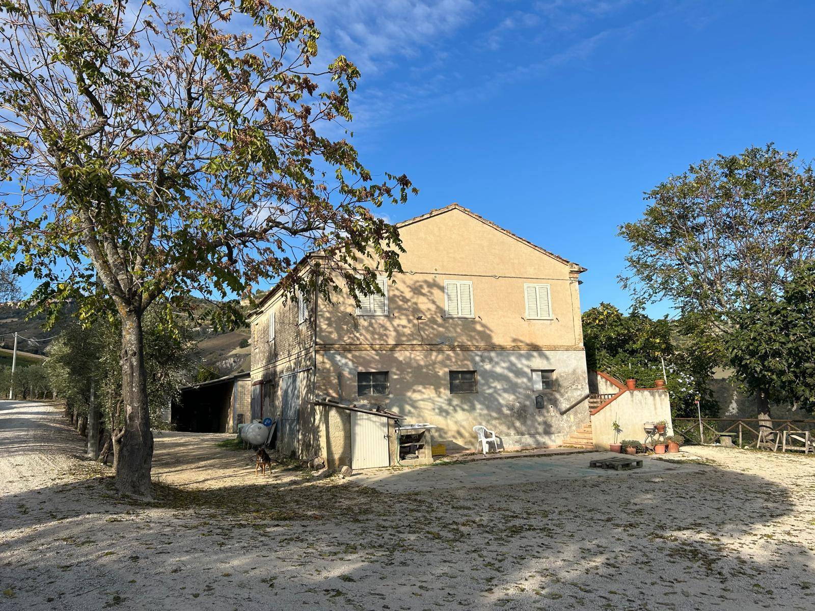 Appartamento in affitto a Ripatransone, Collinare