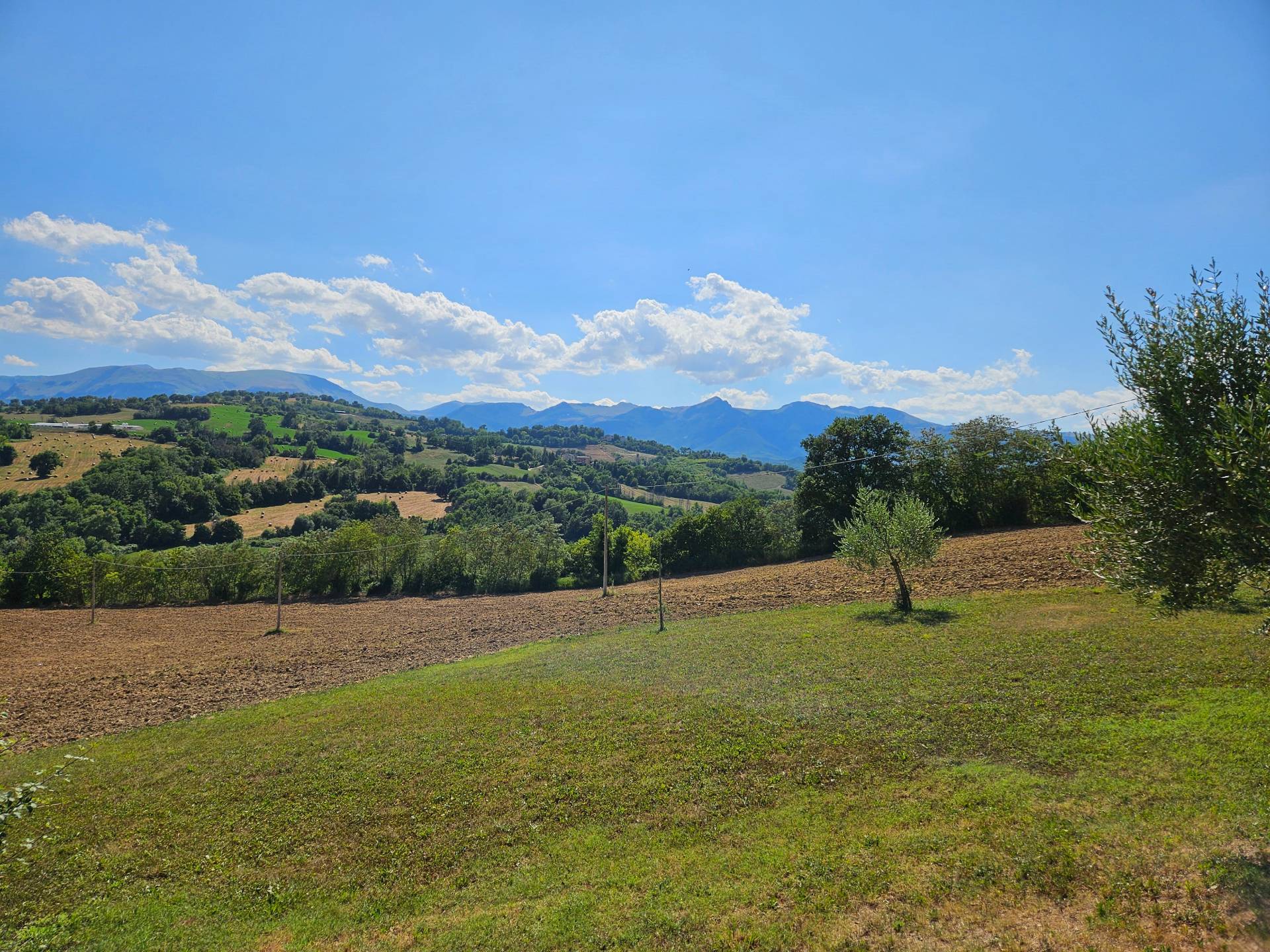 Casale Colonico Rustico in vendita a Gualdo, Massignano