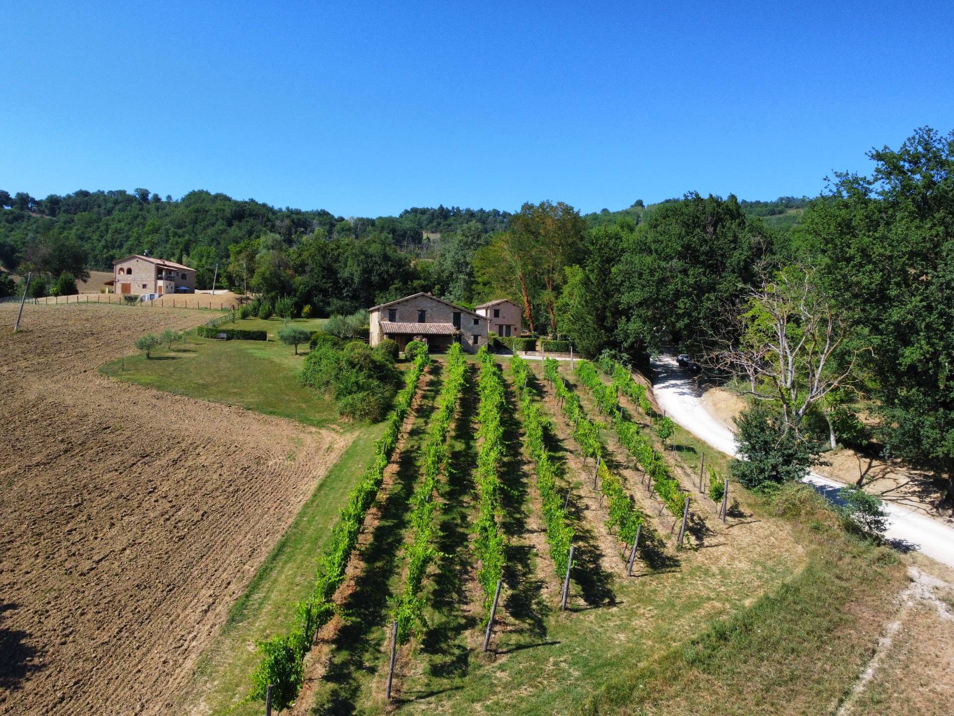 Casale Colonico Rustico in vendita a Gualdo, Massignano