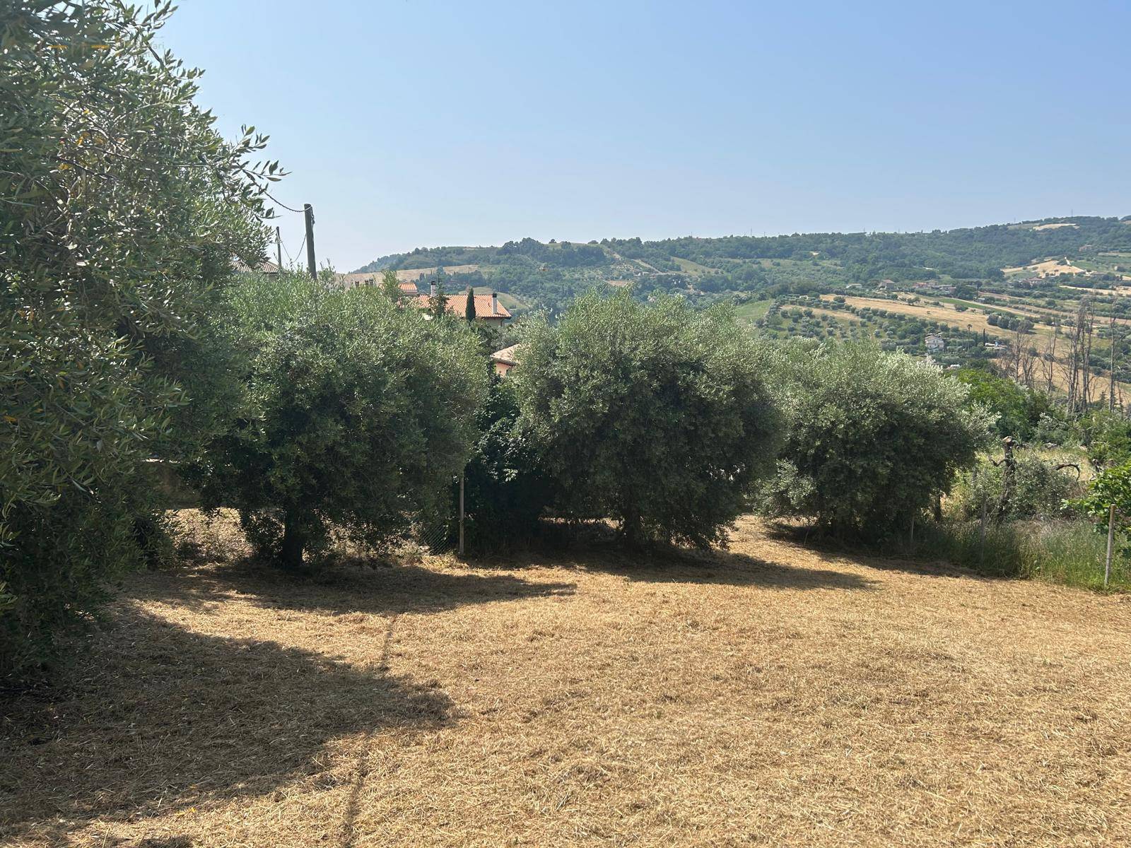 Terreno Agricolo in vendita a San Benedetto del Tronto, Residenziale nord