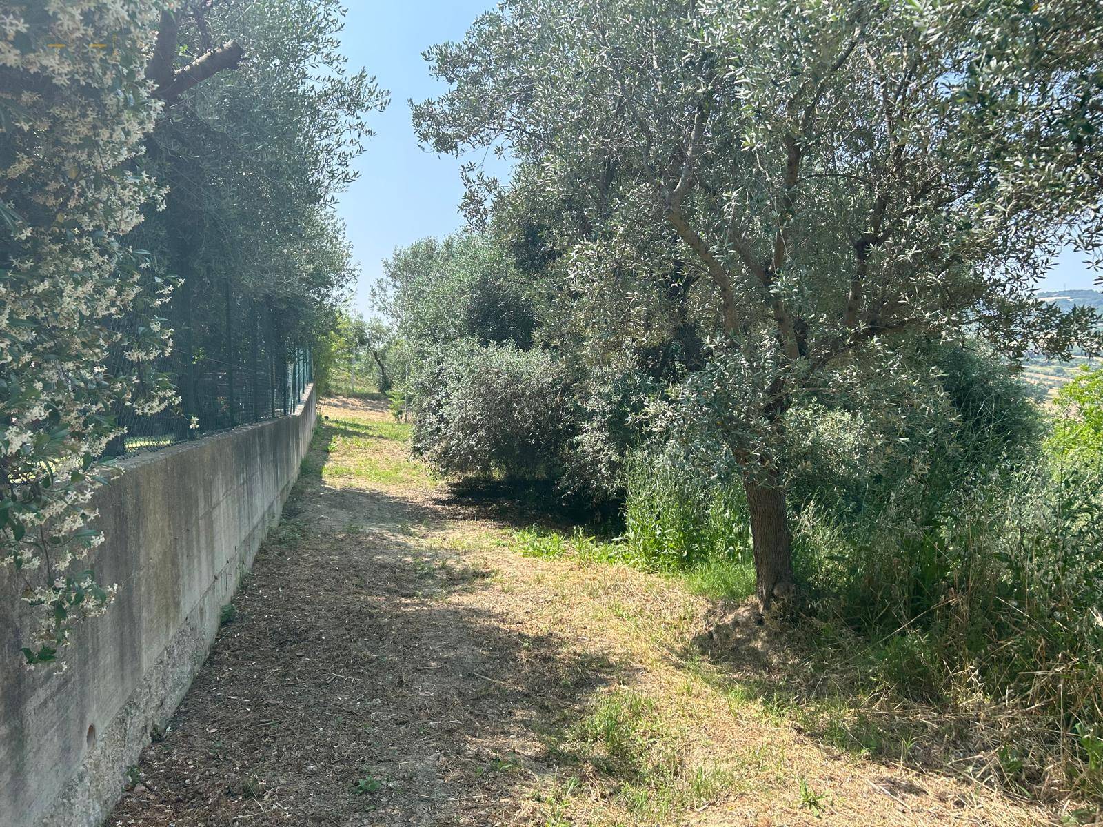 Terreno Agricolo in vendita a San Benedetto del Tronto, Residenziale nord