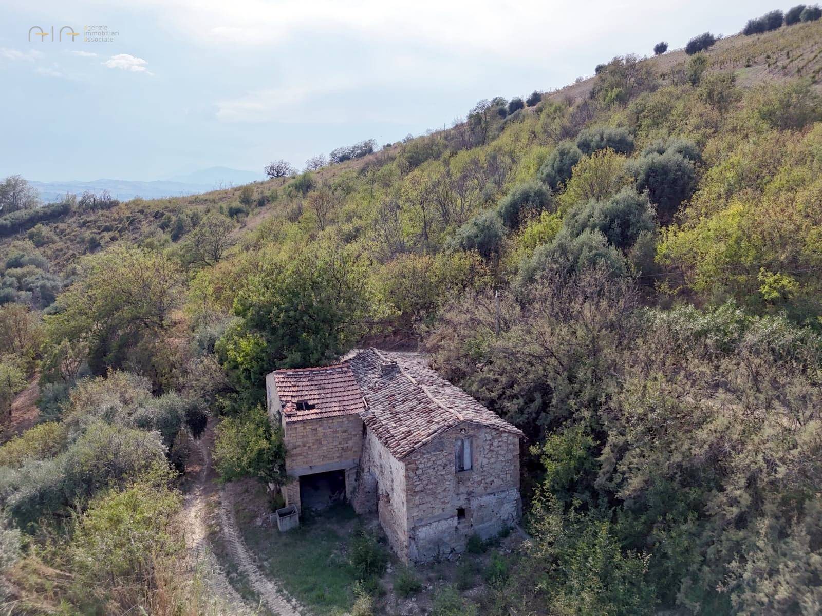 Casale Colonico Rustico in vendita a Ripatransone, Collinare