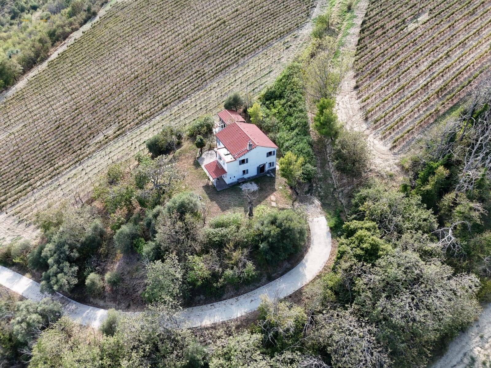 Casale Colonico Rustico in vendita a Ripatransone, Collinare