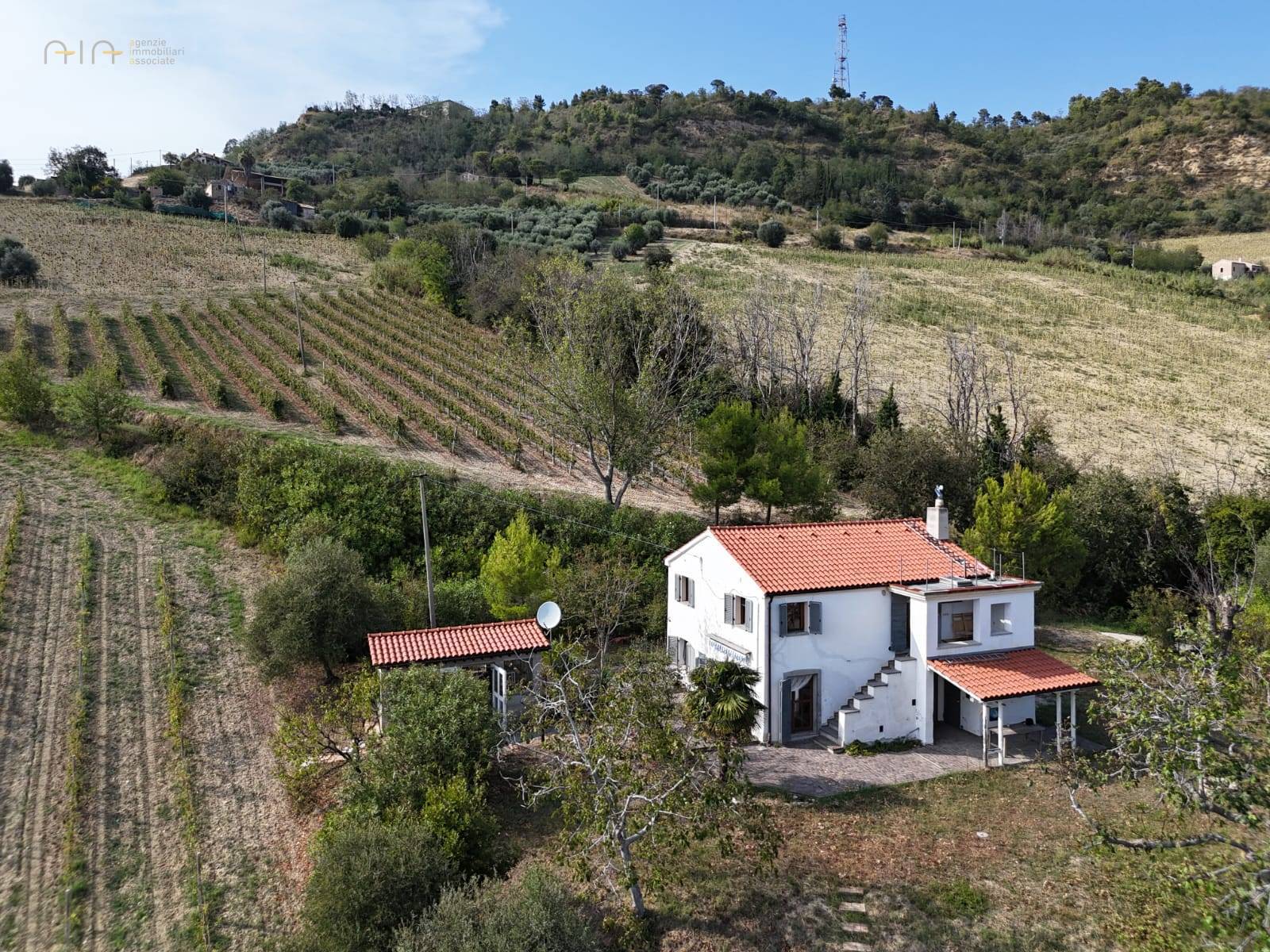 Casale Colonico Rustico in vendita a Ripatransone, Collinare