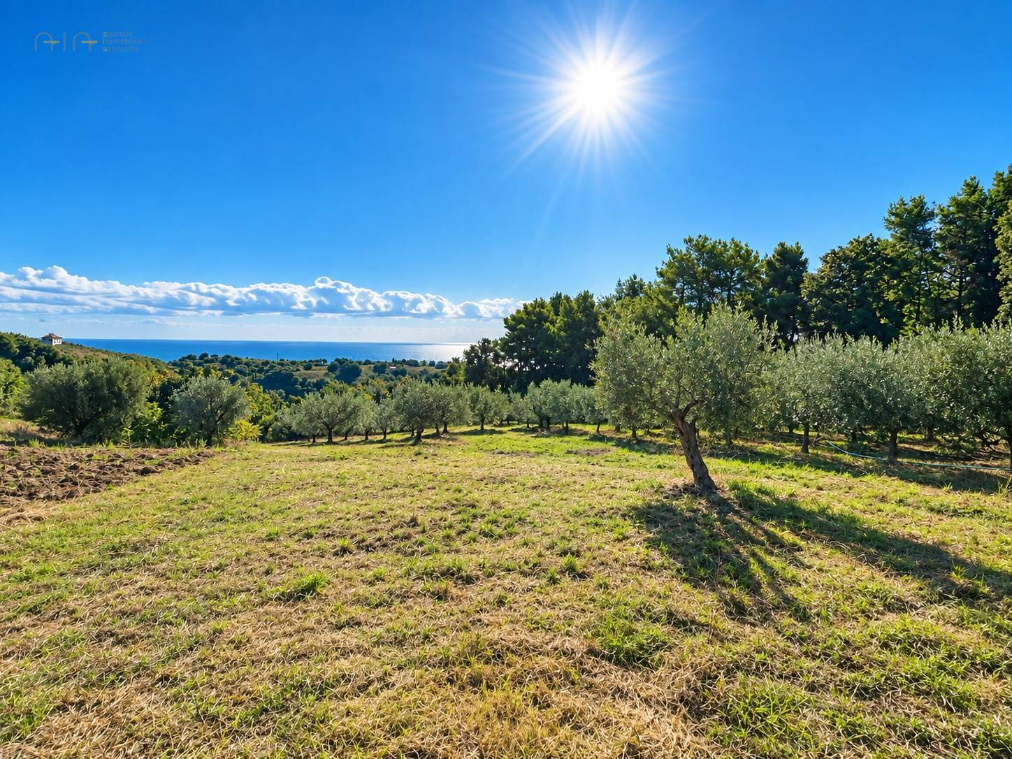 Terreno Agricolo (con / Senza Piccolo Prefabbricato) in vendita a Cupra Marittima, Collinare (al Di 