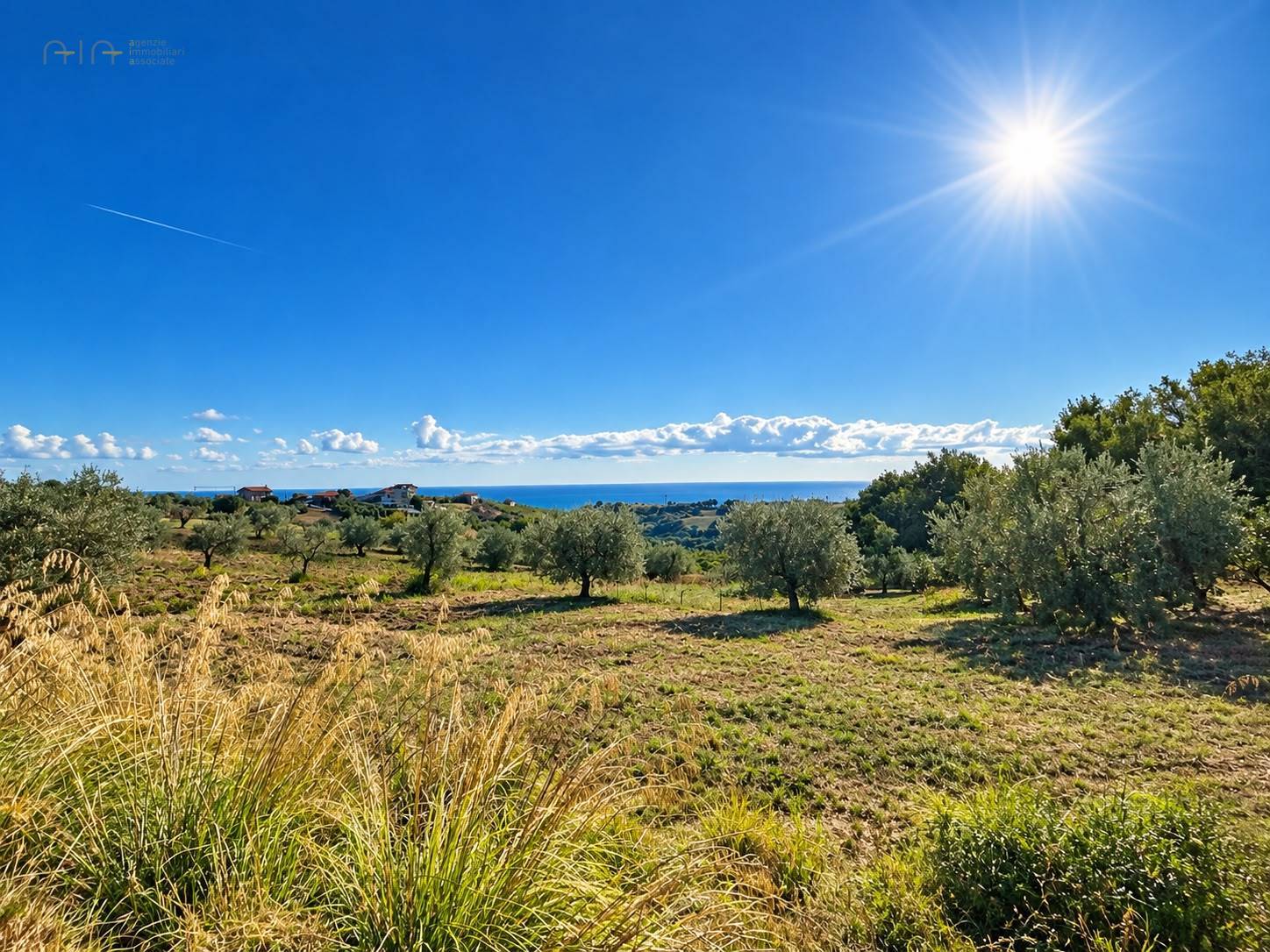 Terreno Agricolo (con / Senza Piccolo Prefabbricato) in vendita a Cupra Marittima, Collinare (al Di 