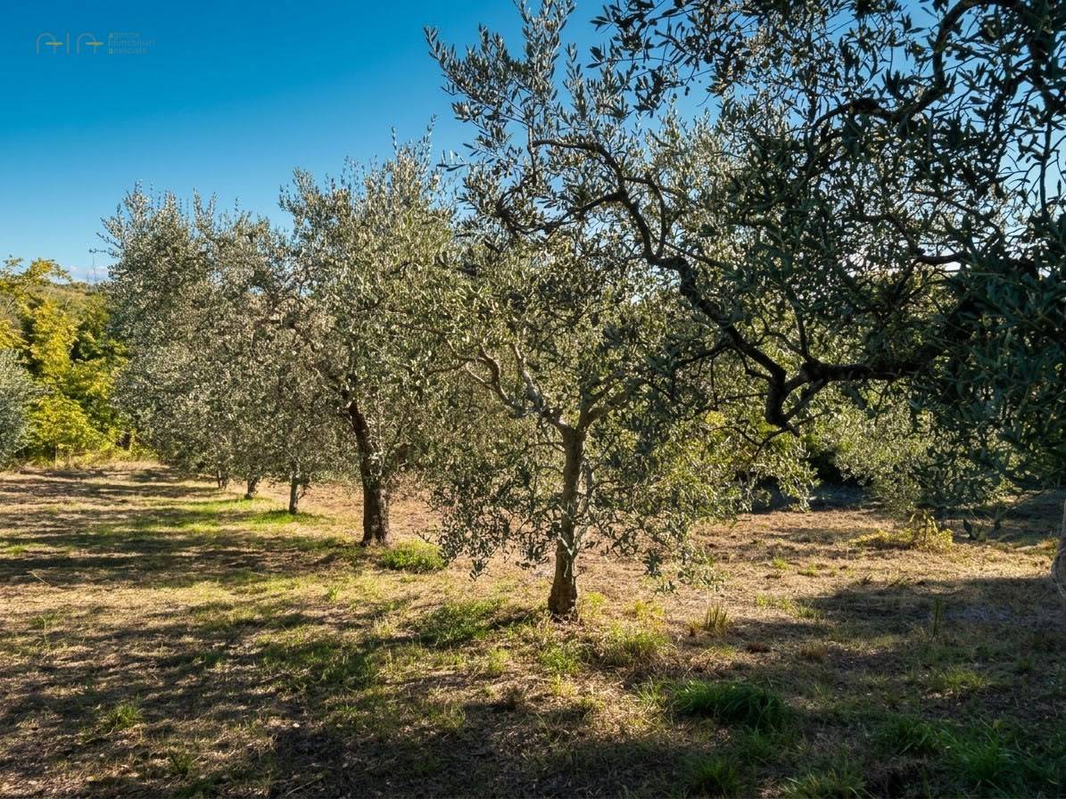 Terreno Agricolo (con / Senza Piccolo Prefabbricato) in vendita a Cupra Marittima, Collinare (al Di 