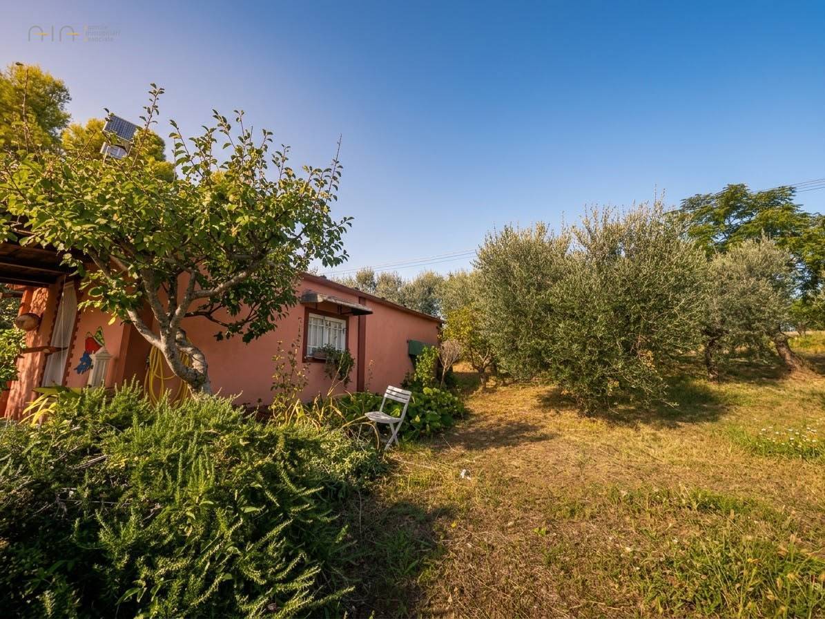 Terreno Agricolo (con / Senza Piccolo Prefabbricato) in vendita a Cupra Marittima, Collinare (al Di 