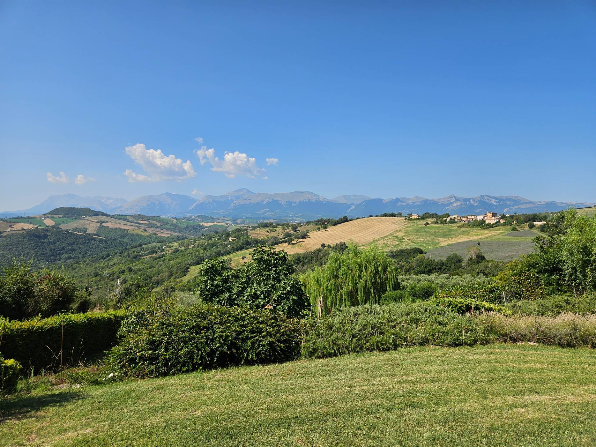 Casale Colonico Rustico in vendita a Penna San Giovanni