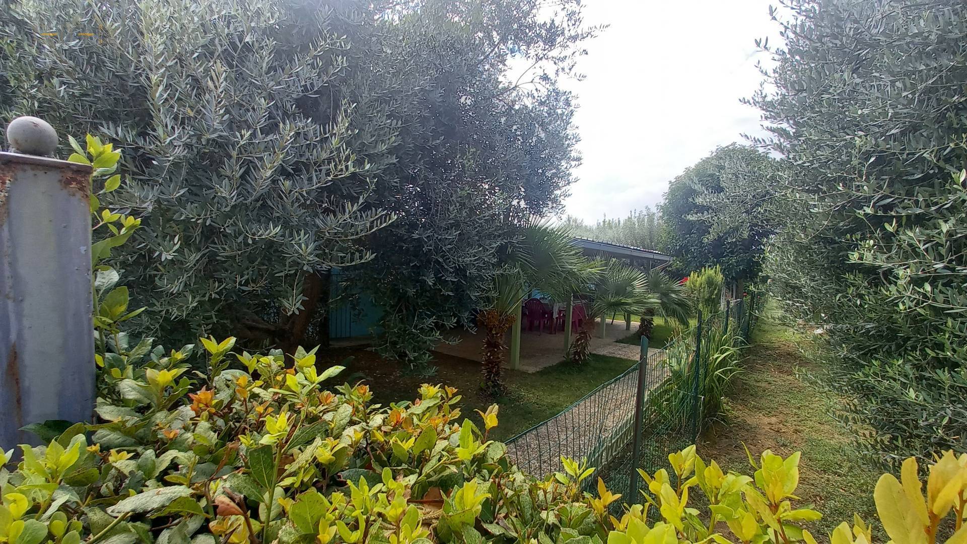 Terreno Agricolo (con / Senza Piccolo Prefabbricato) in vendita a Colli del Tronto, Zona Salaria