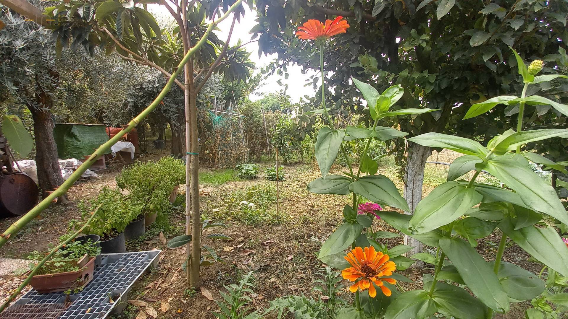 Terreno Agricolo (con / Senza Piccolo Prefabbricato) in vendita a Colli del Tronto, Zona Salaria