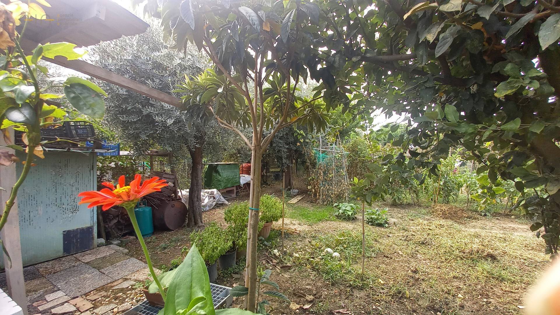 Terreno Agricolo (con / Senza Piccolo Prefabbricato) in vendita a Colli del Tronto, Zona Salaria