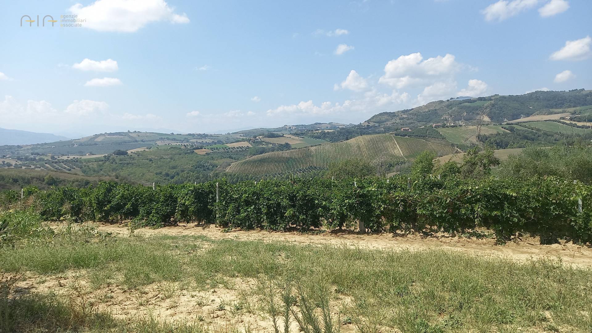 Casale Colonico Rustico in vendita a Offida, Collinare / Campagna