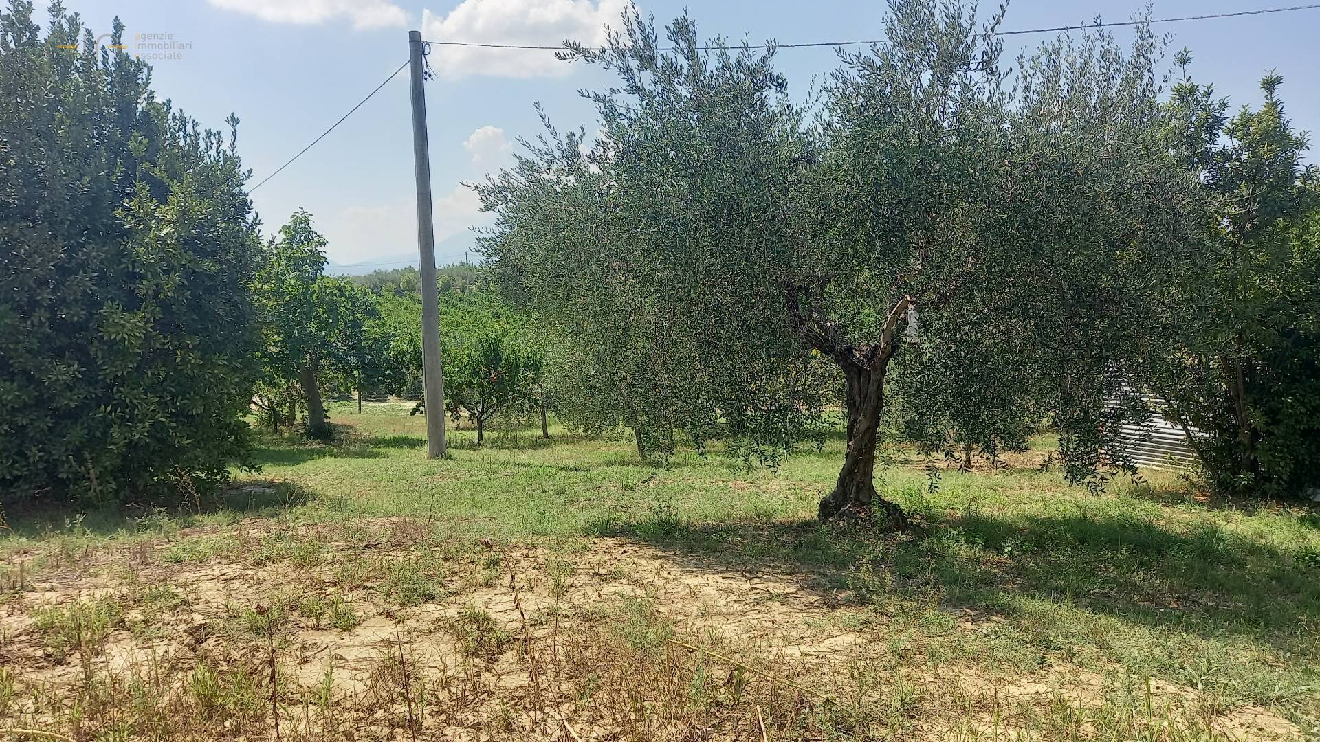 Casale Colonico Rustico in vendita a Offida, Collinare / Campagna