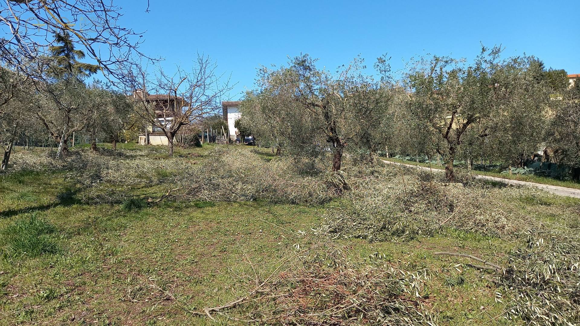Terreno Edificabile Residenziale in vendita a Colli del Tronto, Collinare
