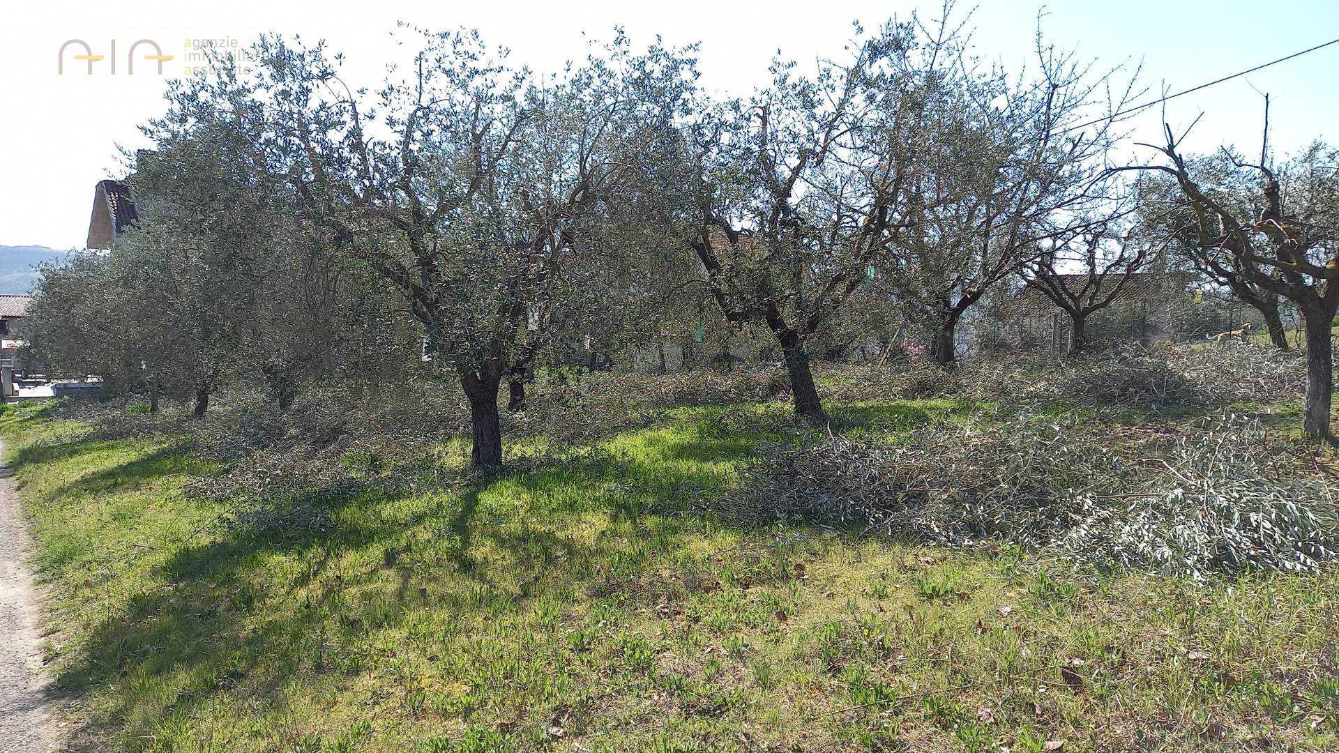 Terreno Edificabile Residenziale in vendita a Colli del Tronto, Collinare