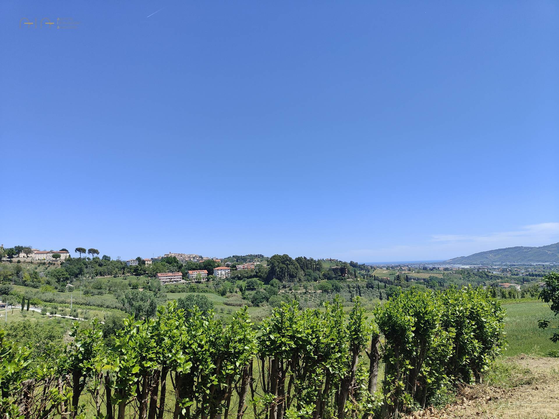 Casale Colonico Rustico in vendita a Spinetoli, Collinare